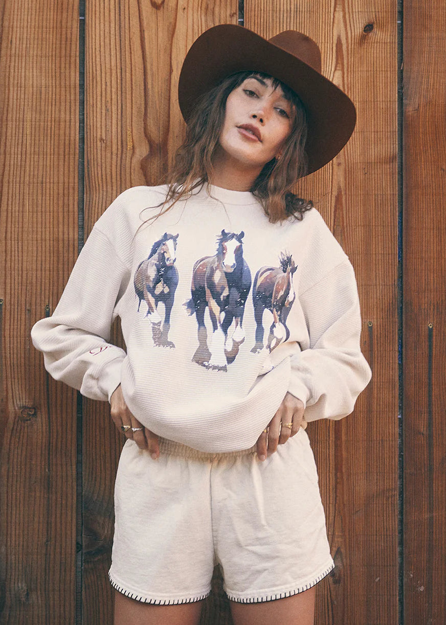 Clydesdale Thermal - Creme