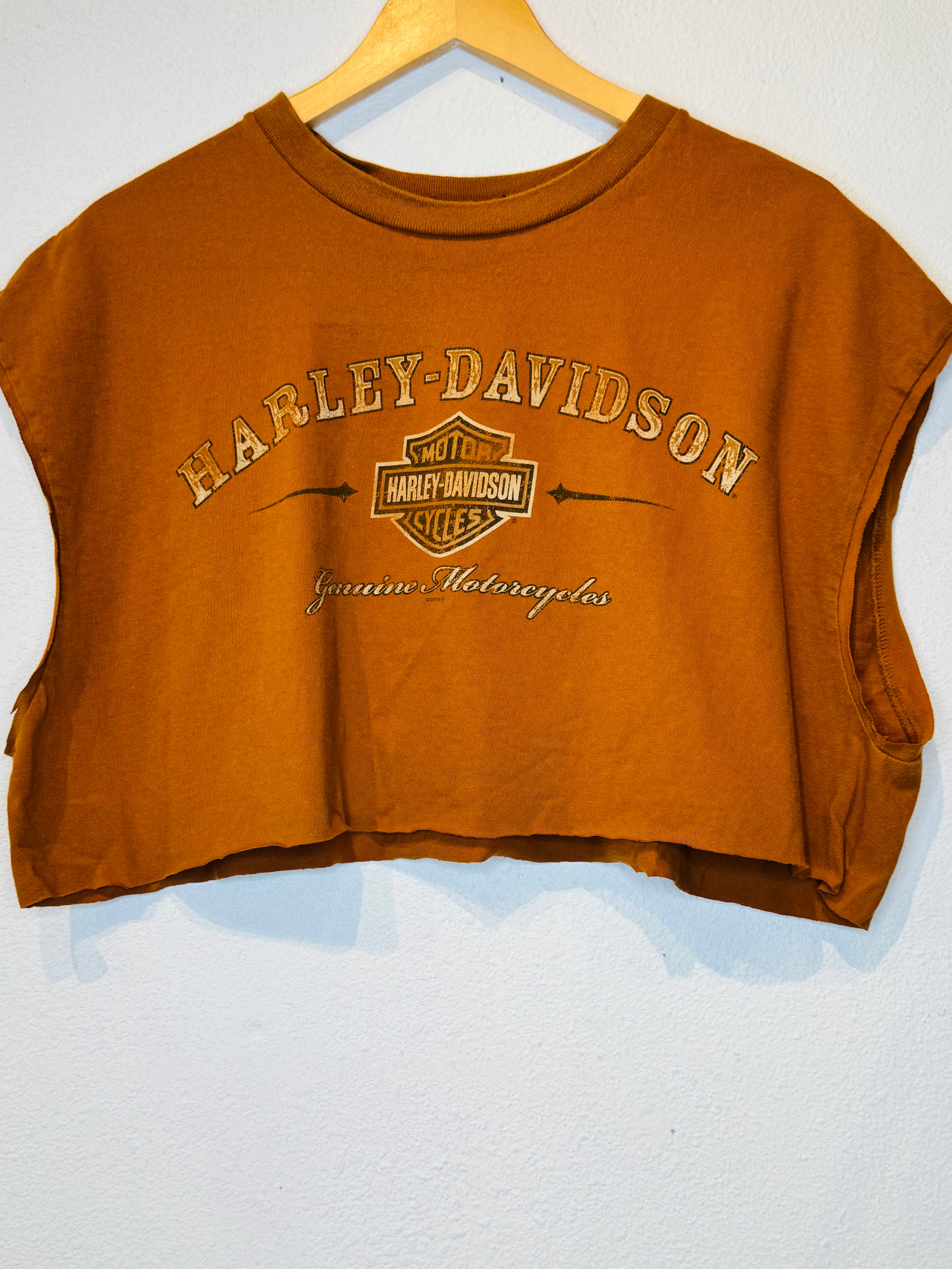 Cayman Harley Vintage Crop Tank