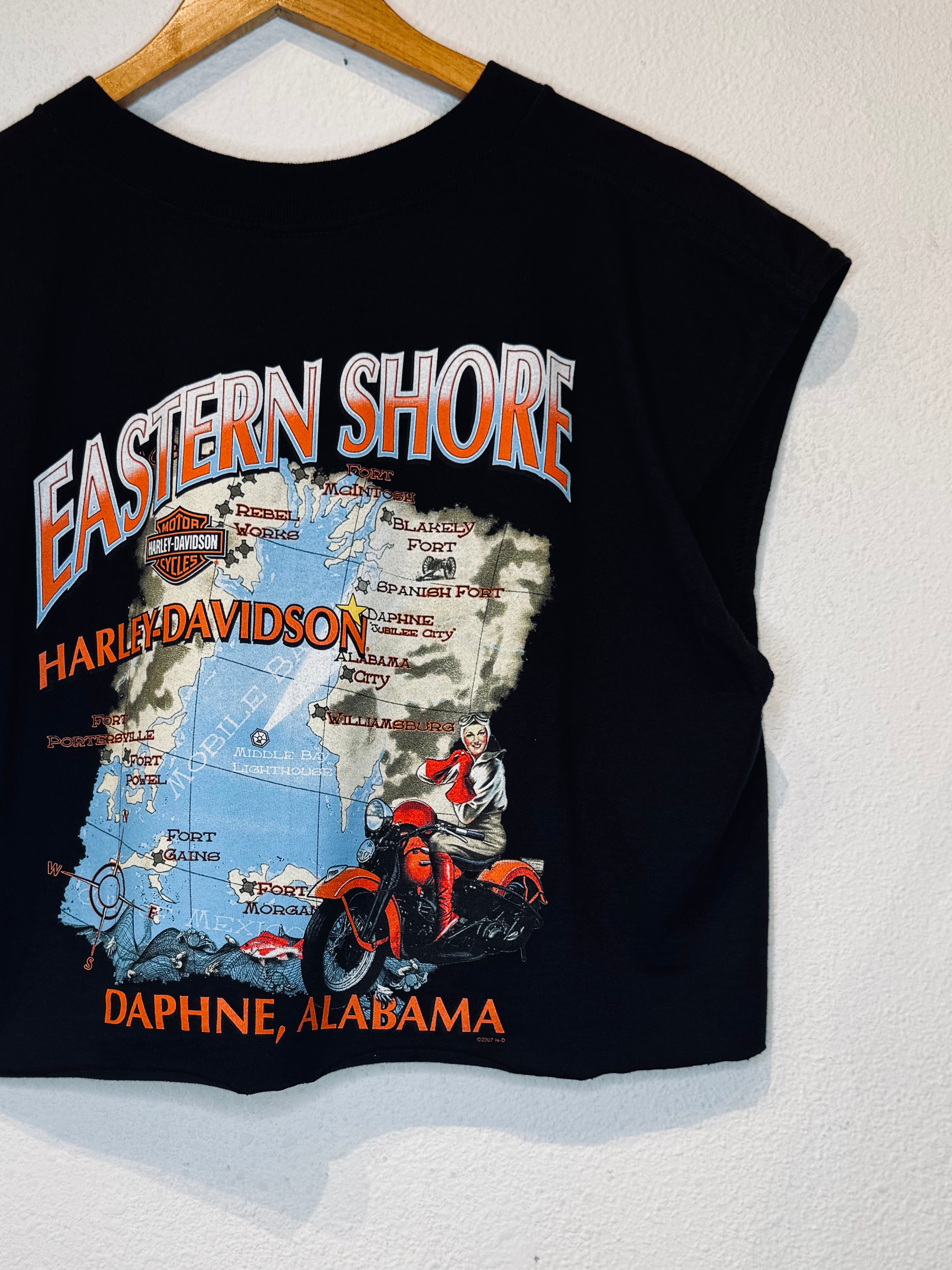Bad Chrome Harley Vintage Crop Tank