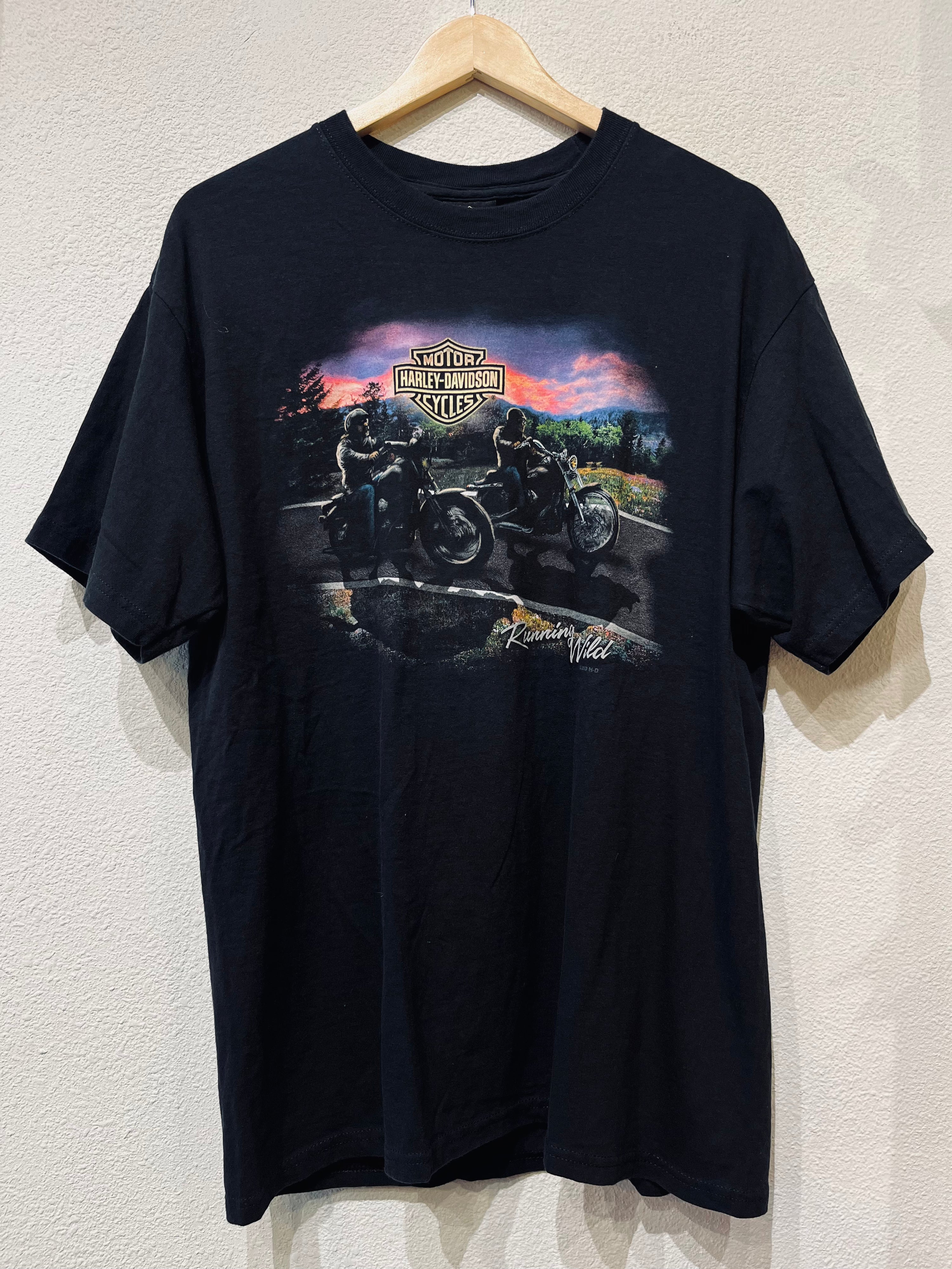 Running Wild Harley Vintage Tee