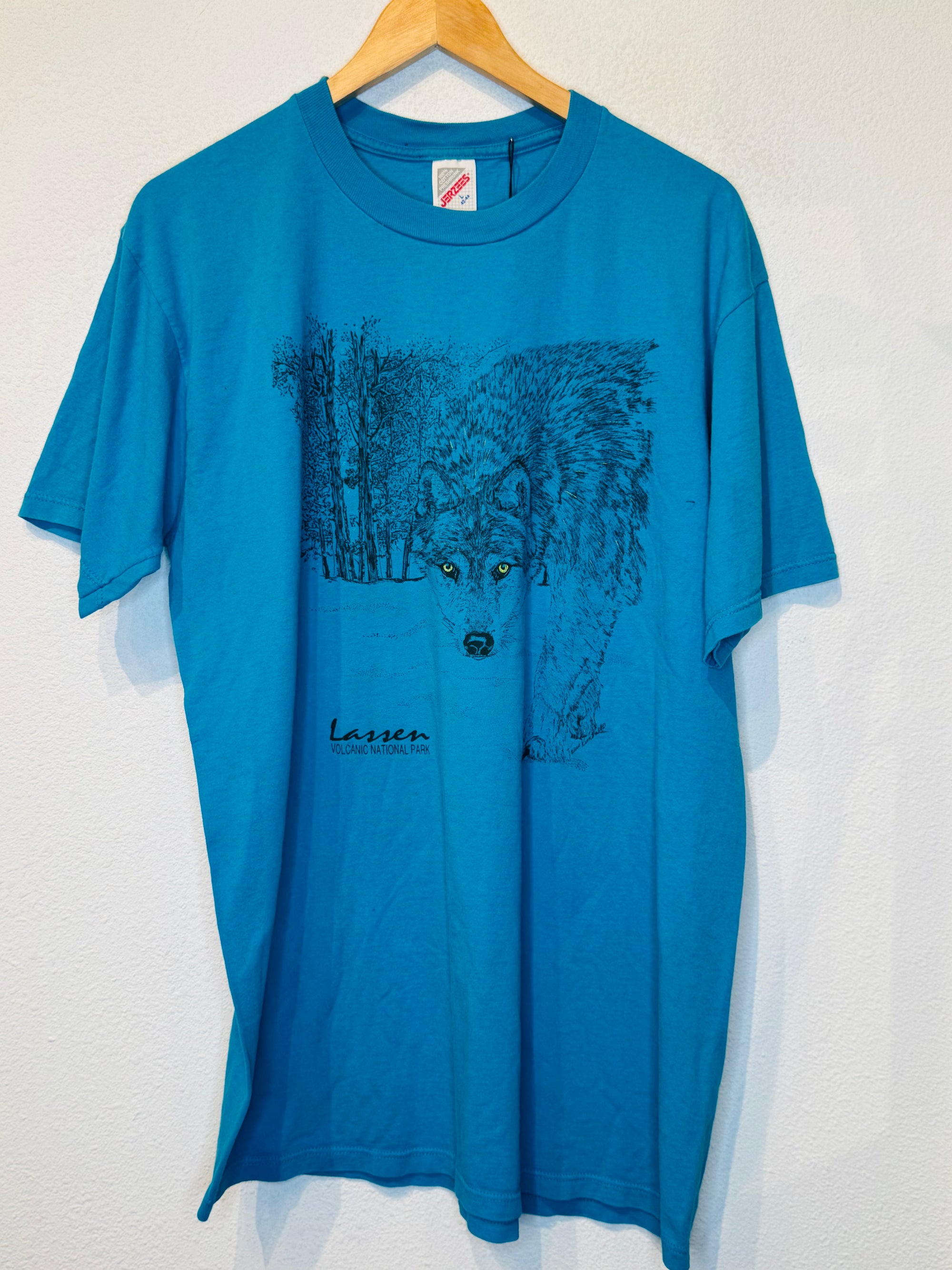 Lassen National Park Vintage Tee
