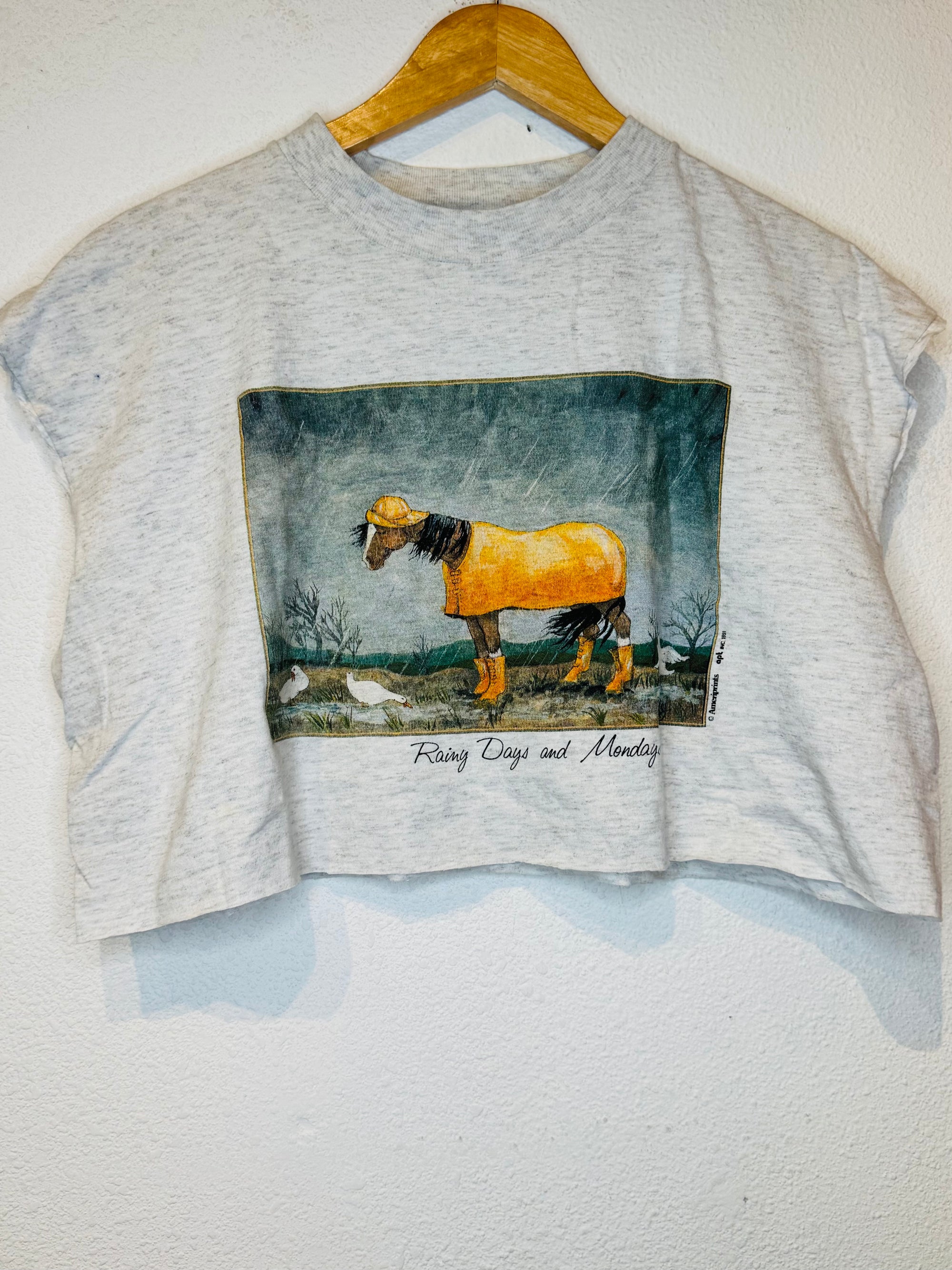 Rainy Days Vintage Crop Tank - Burnout