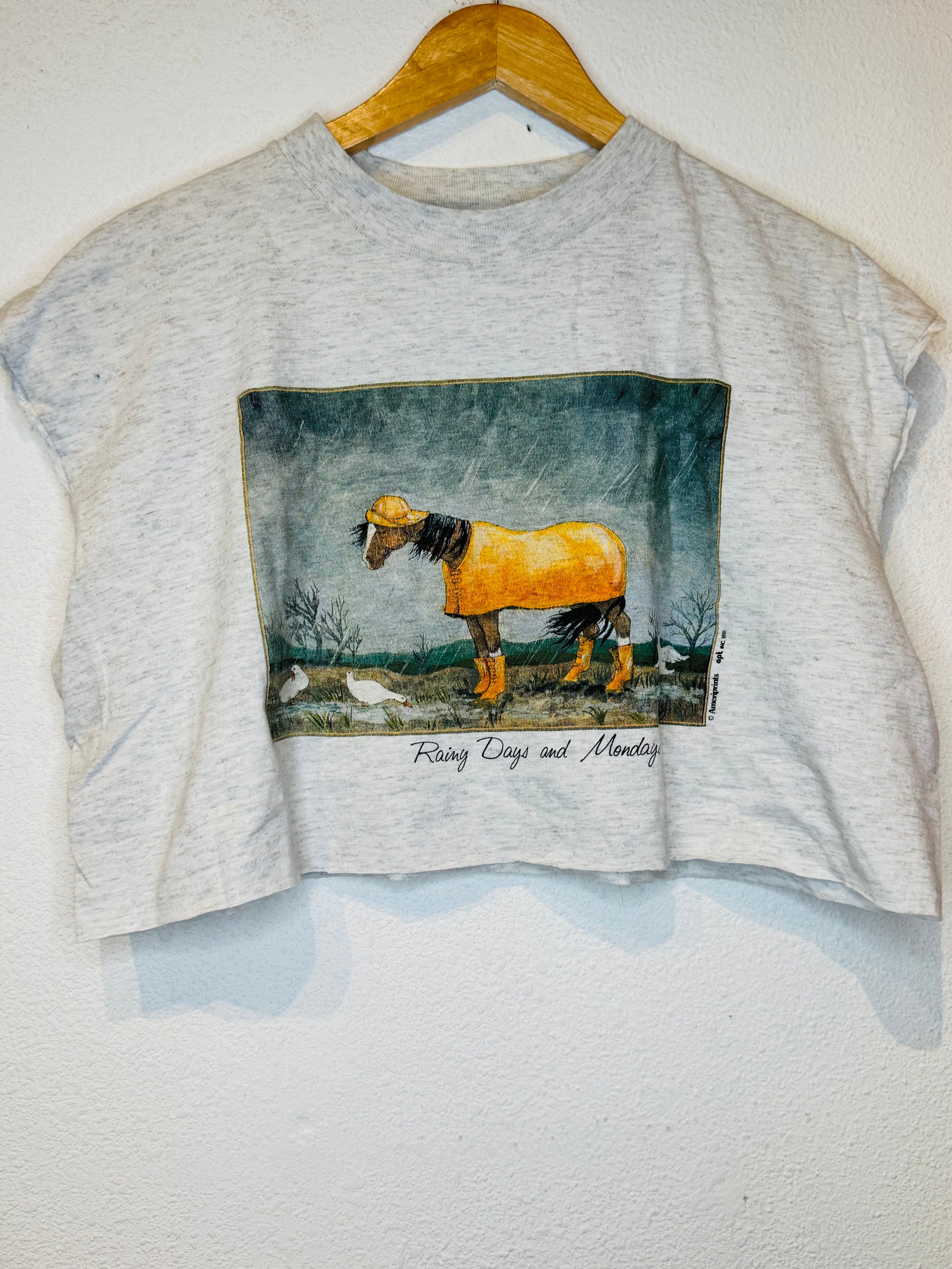 Rainy Days Vintage Crop Tank