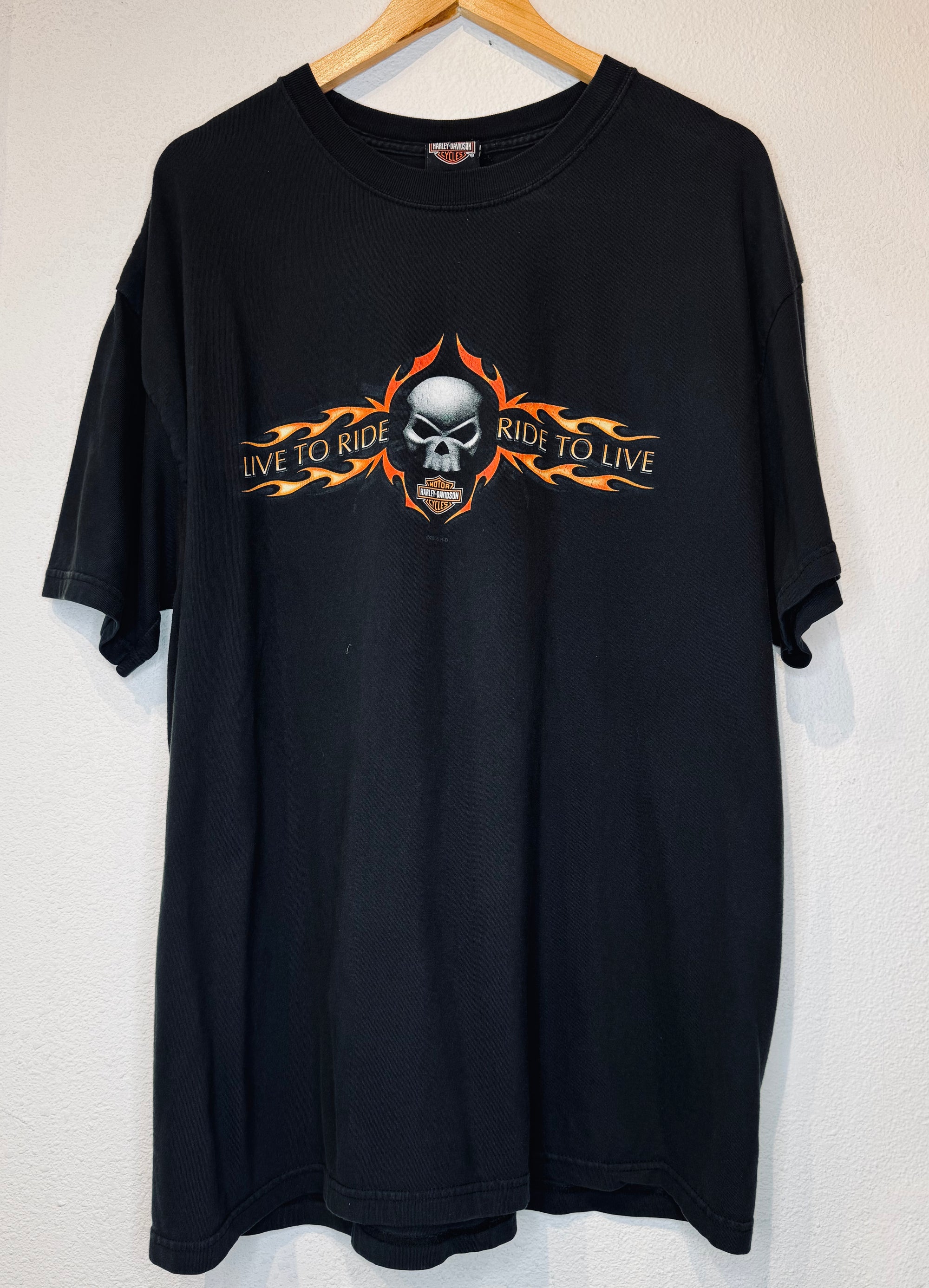 Albuquerque Skull Harley Vintage Tee - Burnout