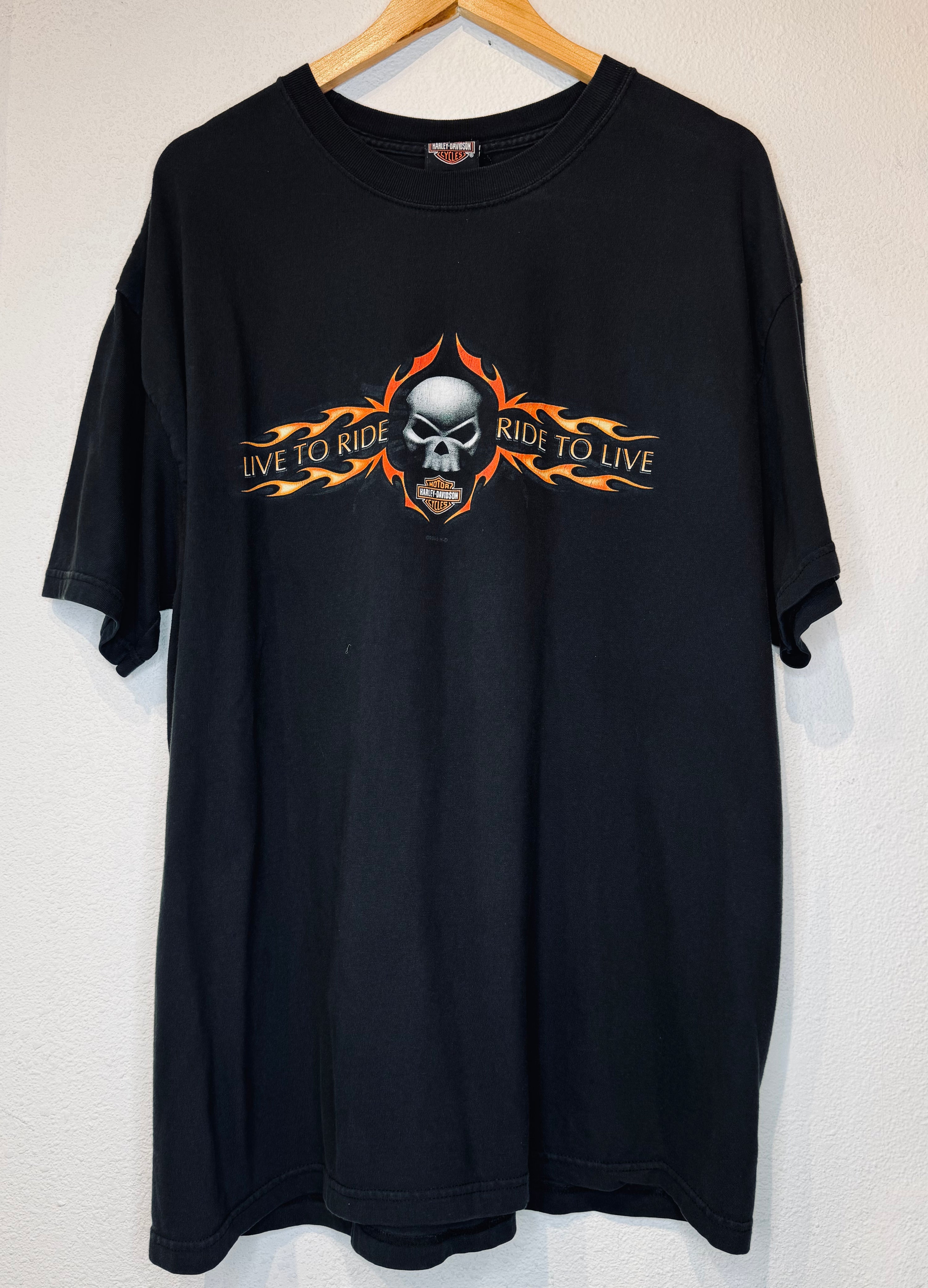 Albuquerque Skull Harley Vintage Tee - Burnout