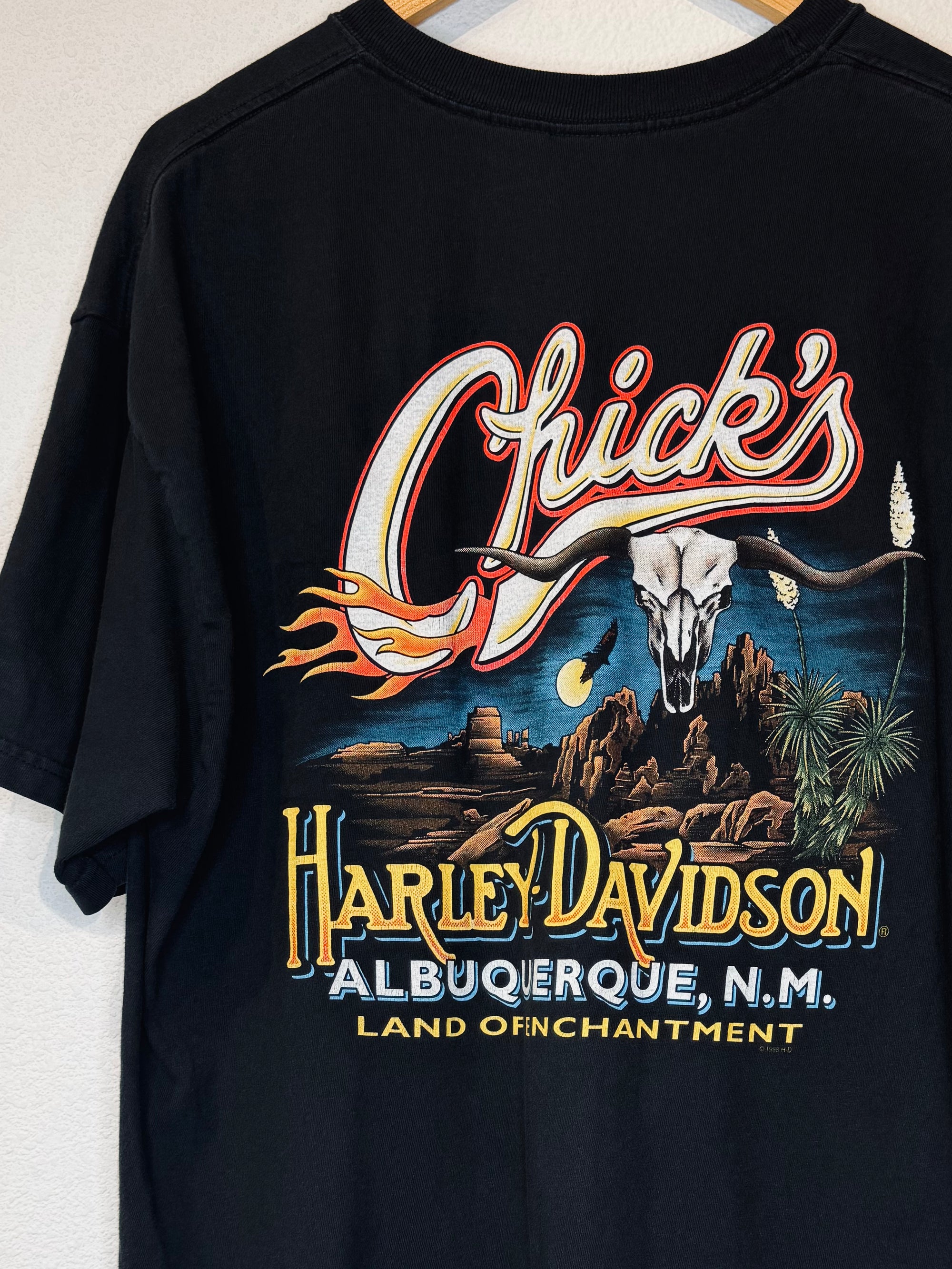 Albuquerque Skull Harley Vintage Tee - Burnout