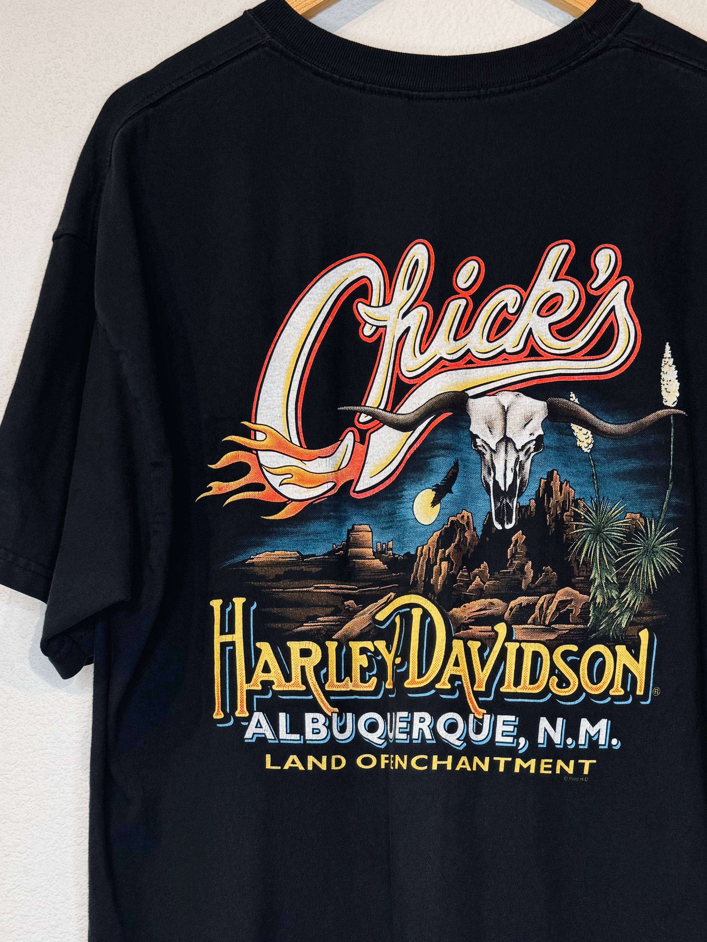 Albuquerque Skull Harley Vintage Tee - Burnout