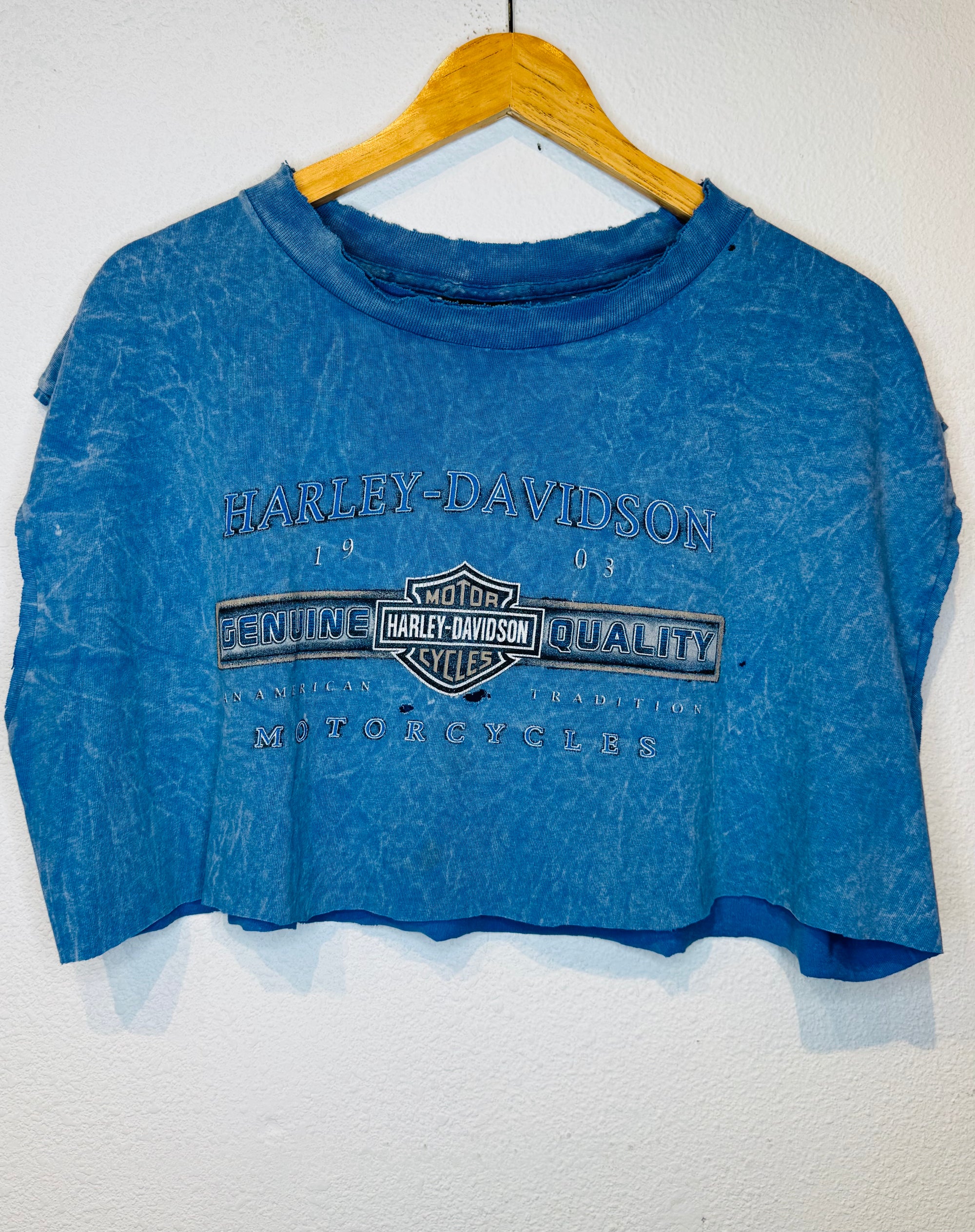 Chandler Harley Vintage Crop Tank - Burnout