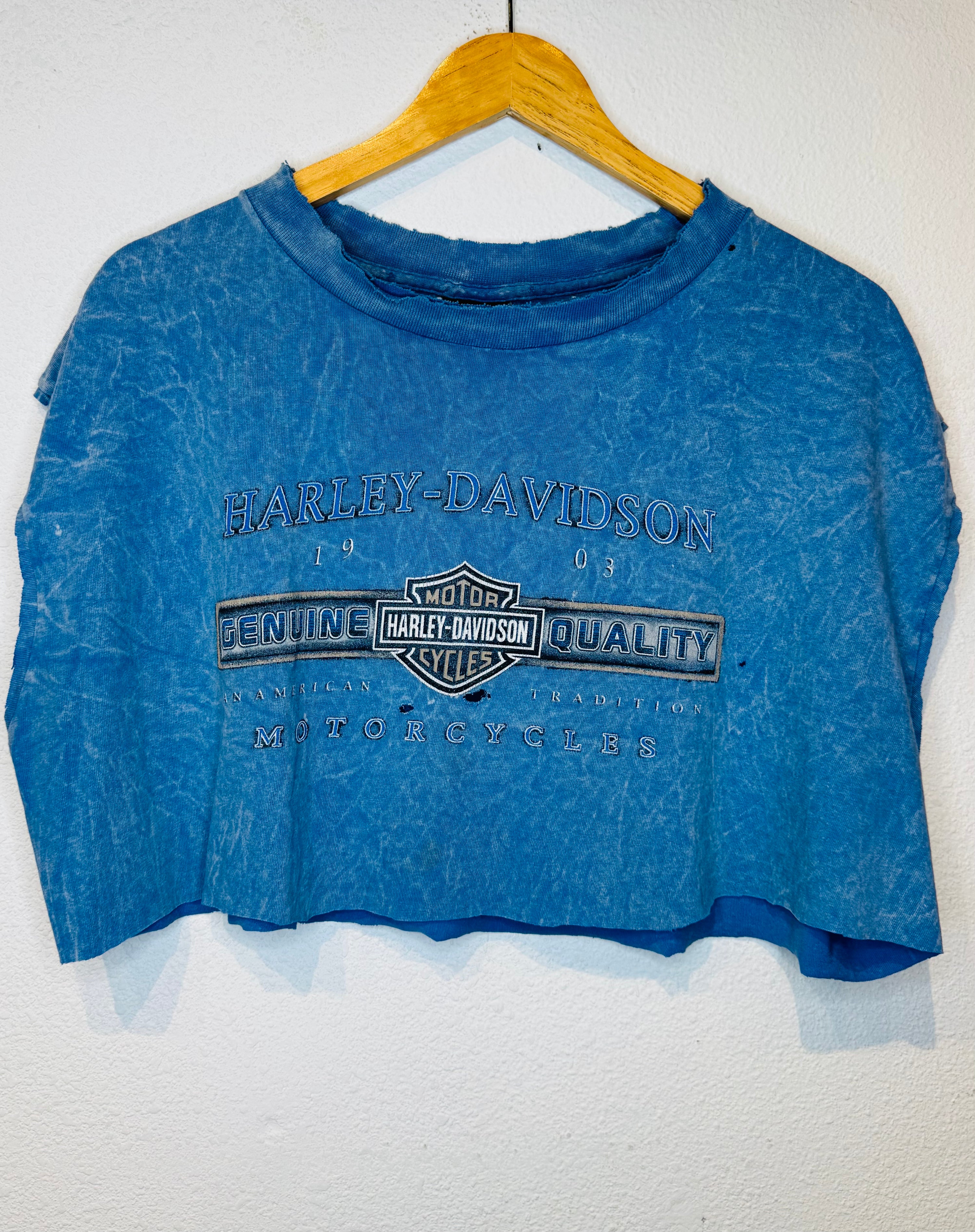 Chandler Harley Vintage Crop Tank - Burnout