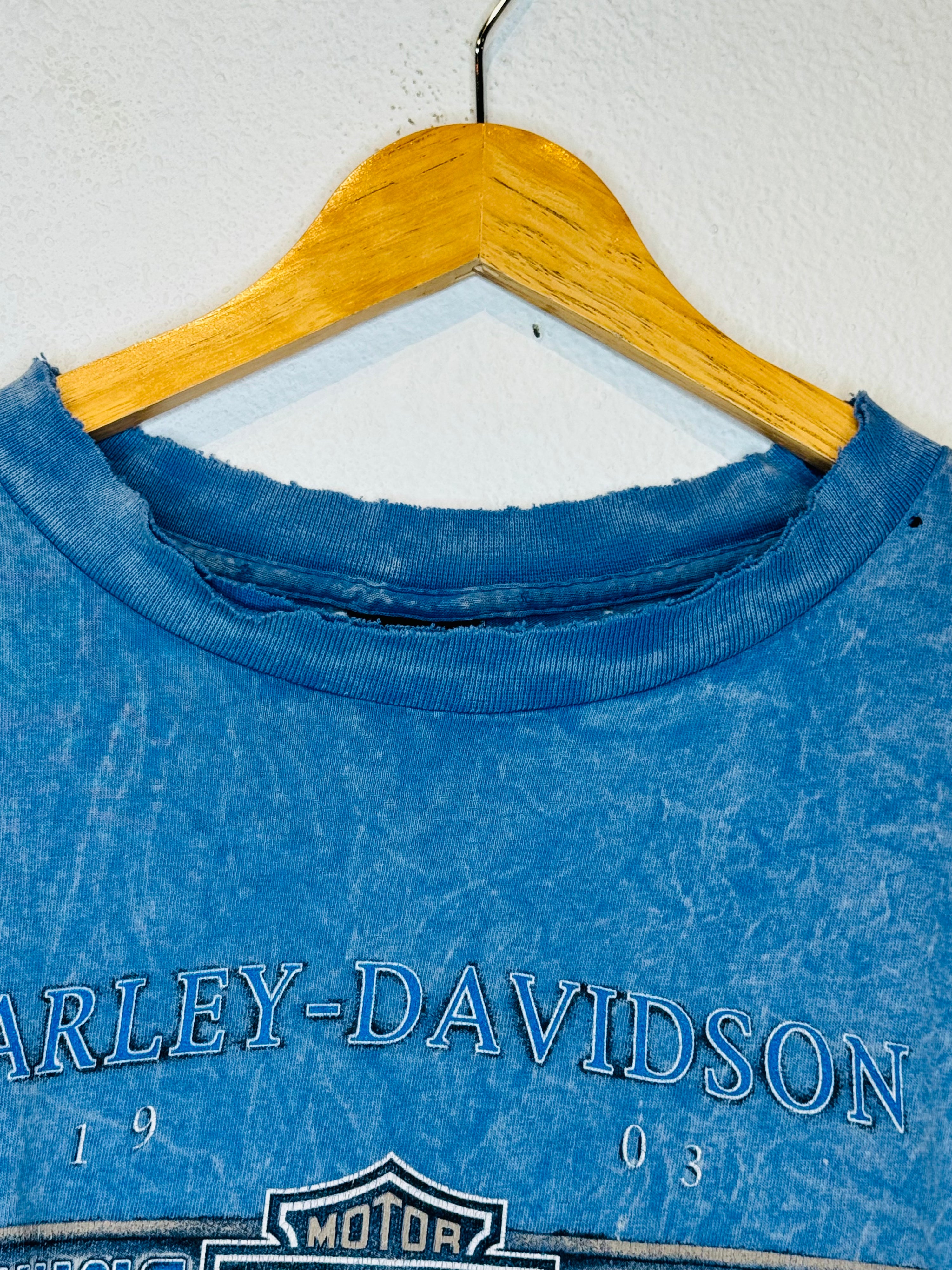 Chandler Harley Vintage Crop Tank - Burnout