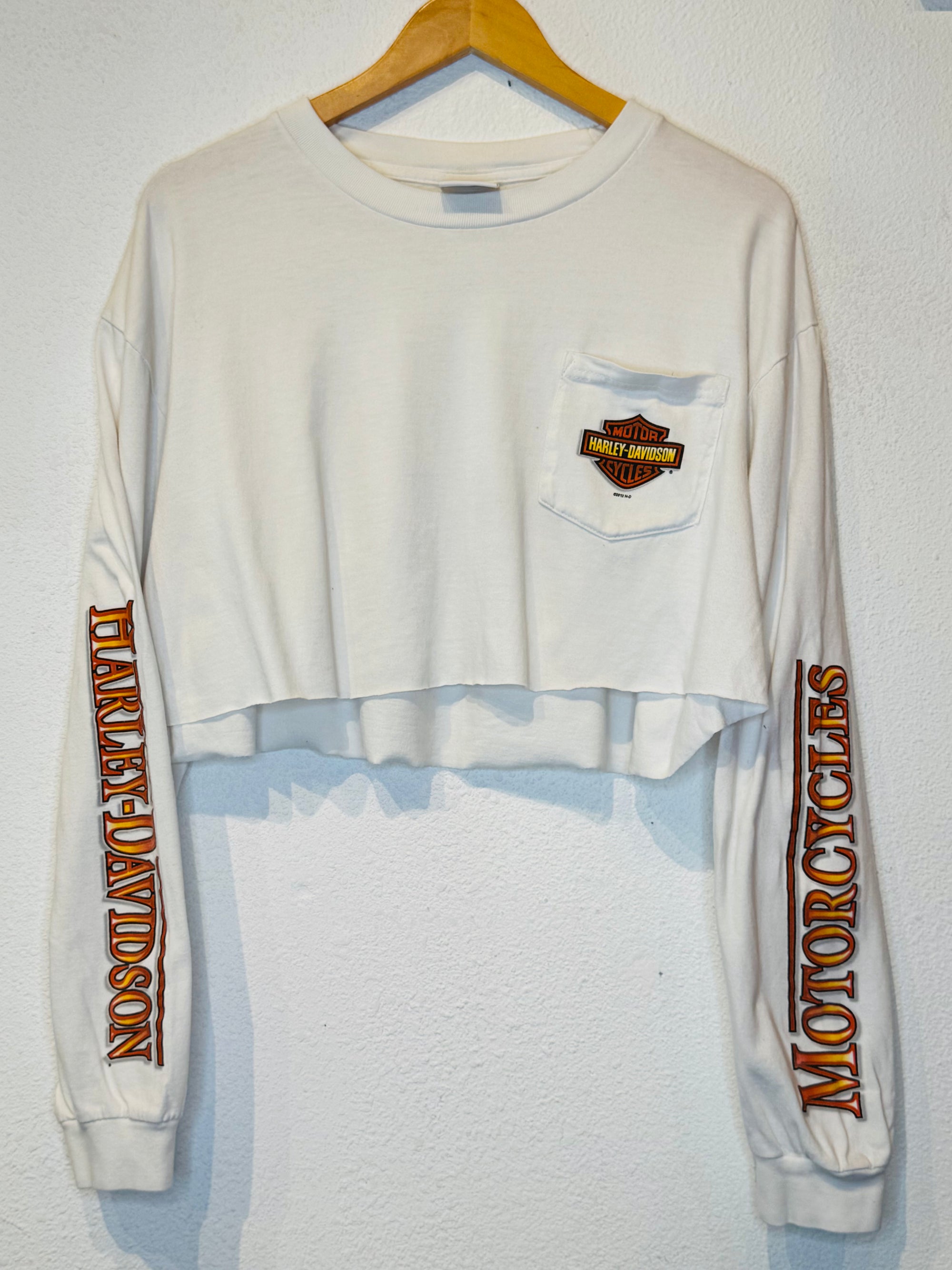 Peshtigo Eagle Harley Vintage Crop Long Sleeve - Burnout