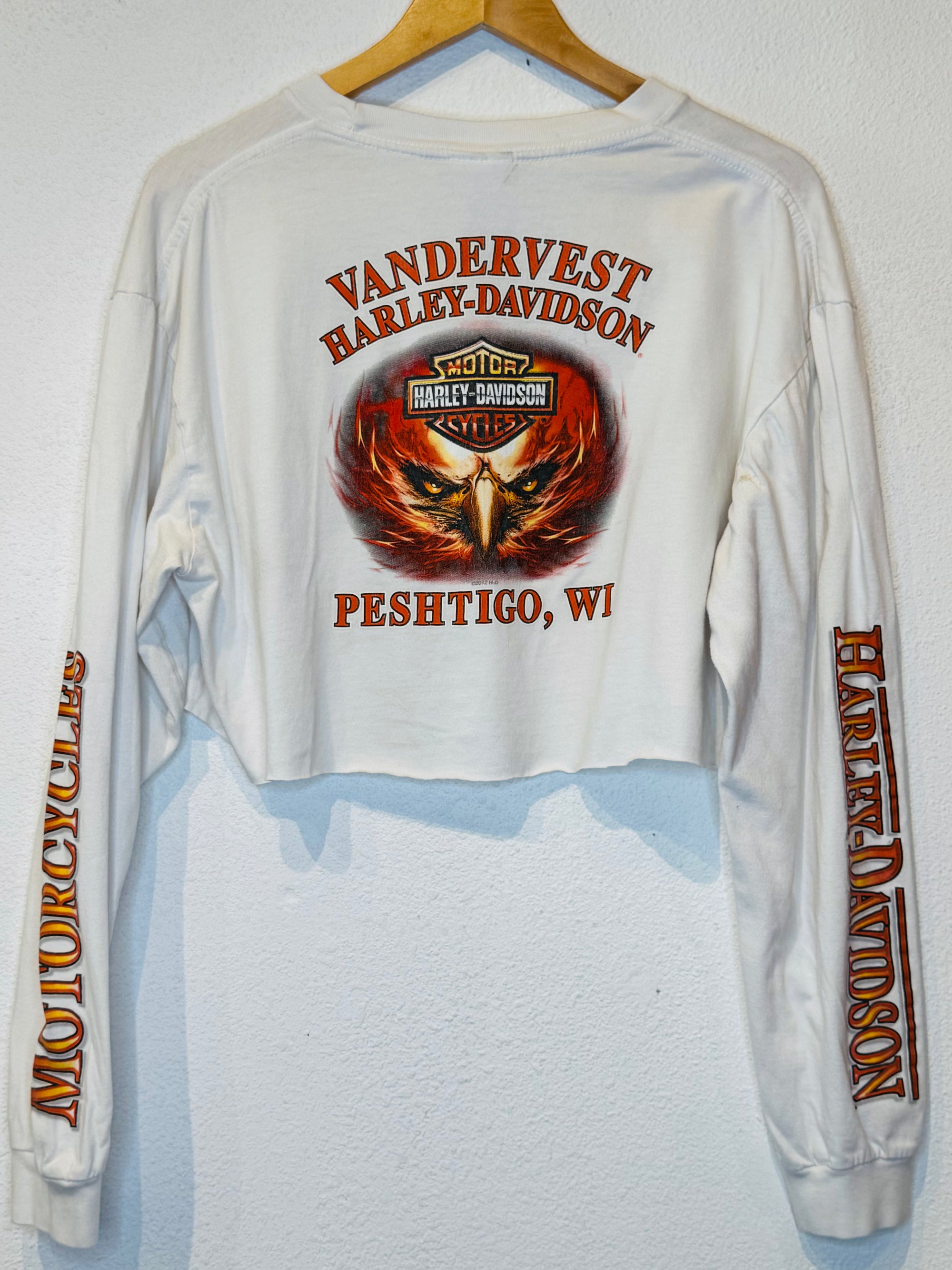 Peshtigo Eagle Harley Vintage Crop Long Sleeve - Burnout