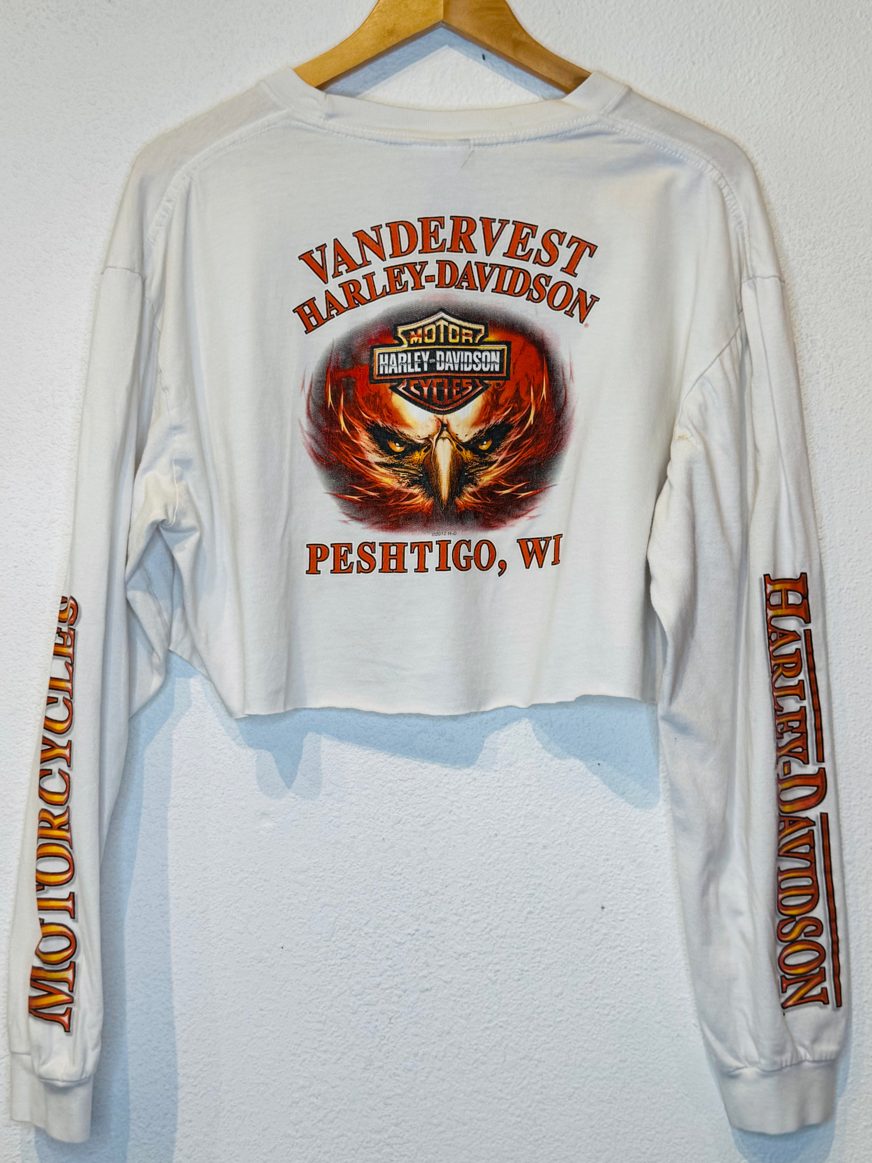 Peshtigo Eagle Harley Vintage Crop Long Sleeve - Burnout