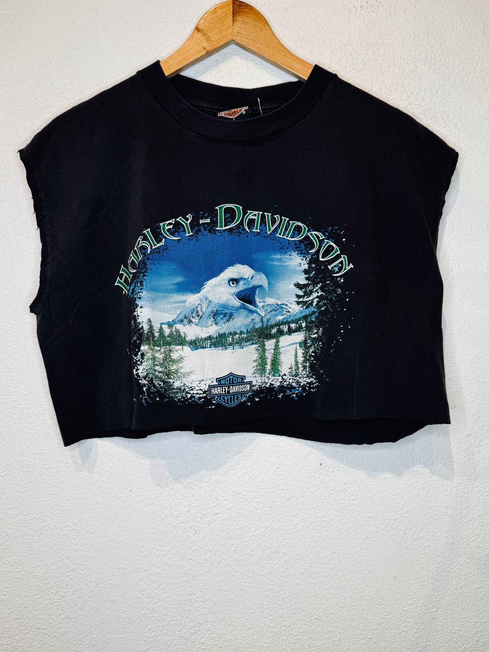 Blue Springs Harley Vintage Crop Tank