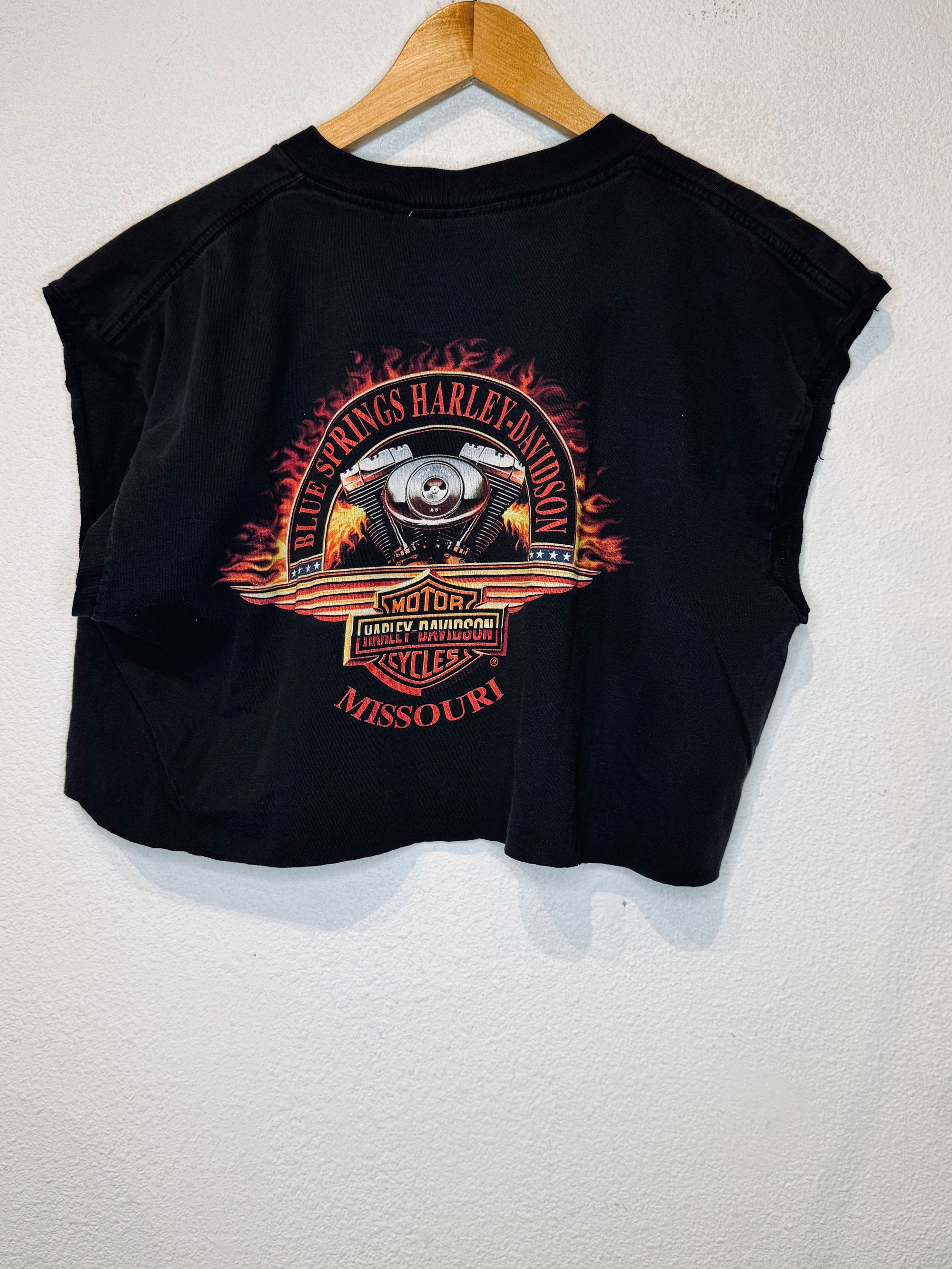 Blue Springs Harley Vintage Crop Tank