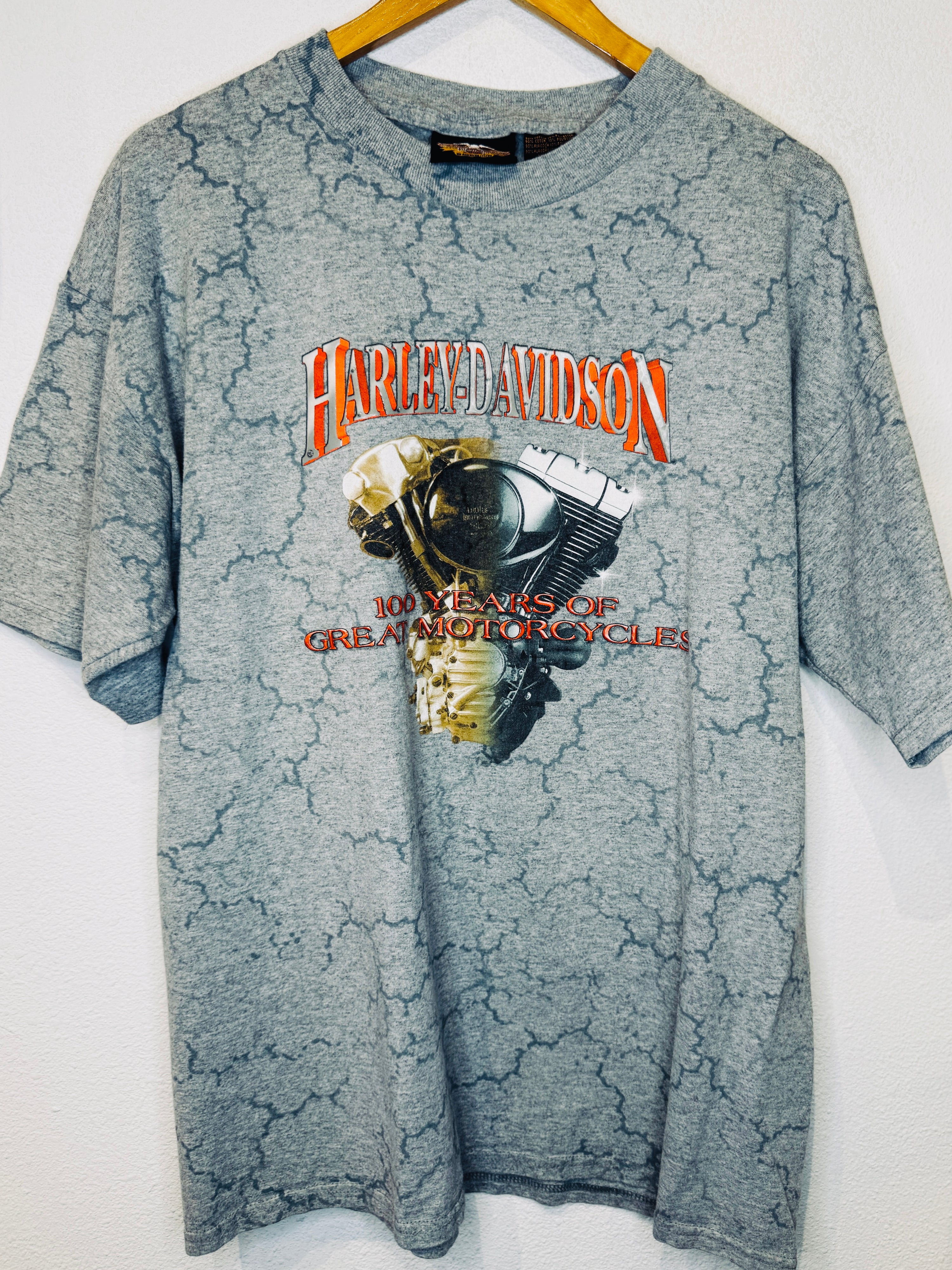100 Years Harley Vintage Tee - Burnout