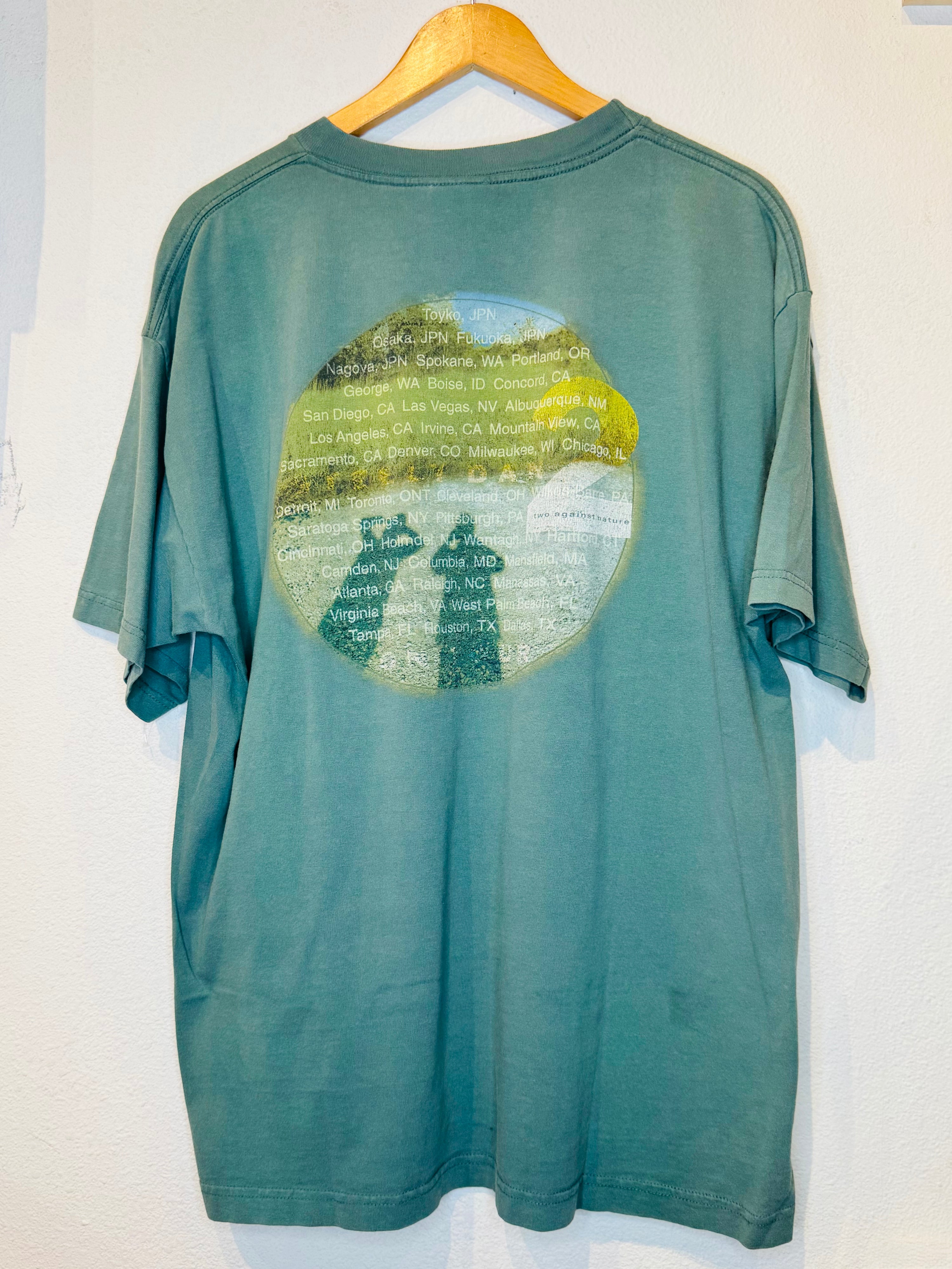 Steely Dan Against Nature Vintage Tee