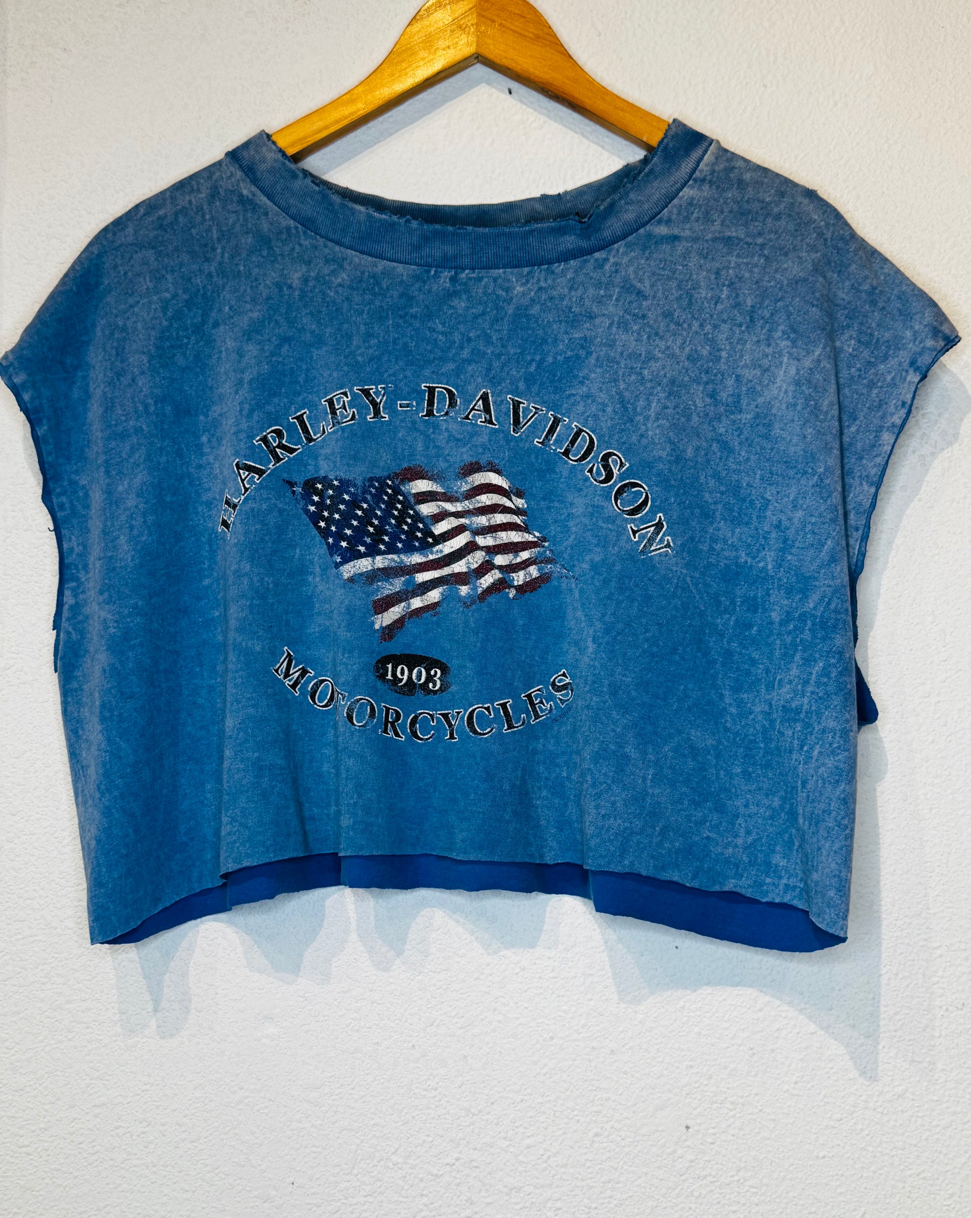 Albany Harley Vintage Crop Tank