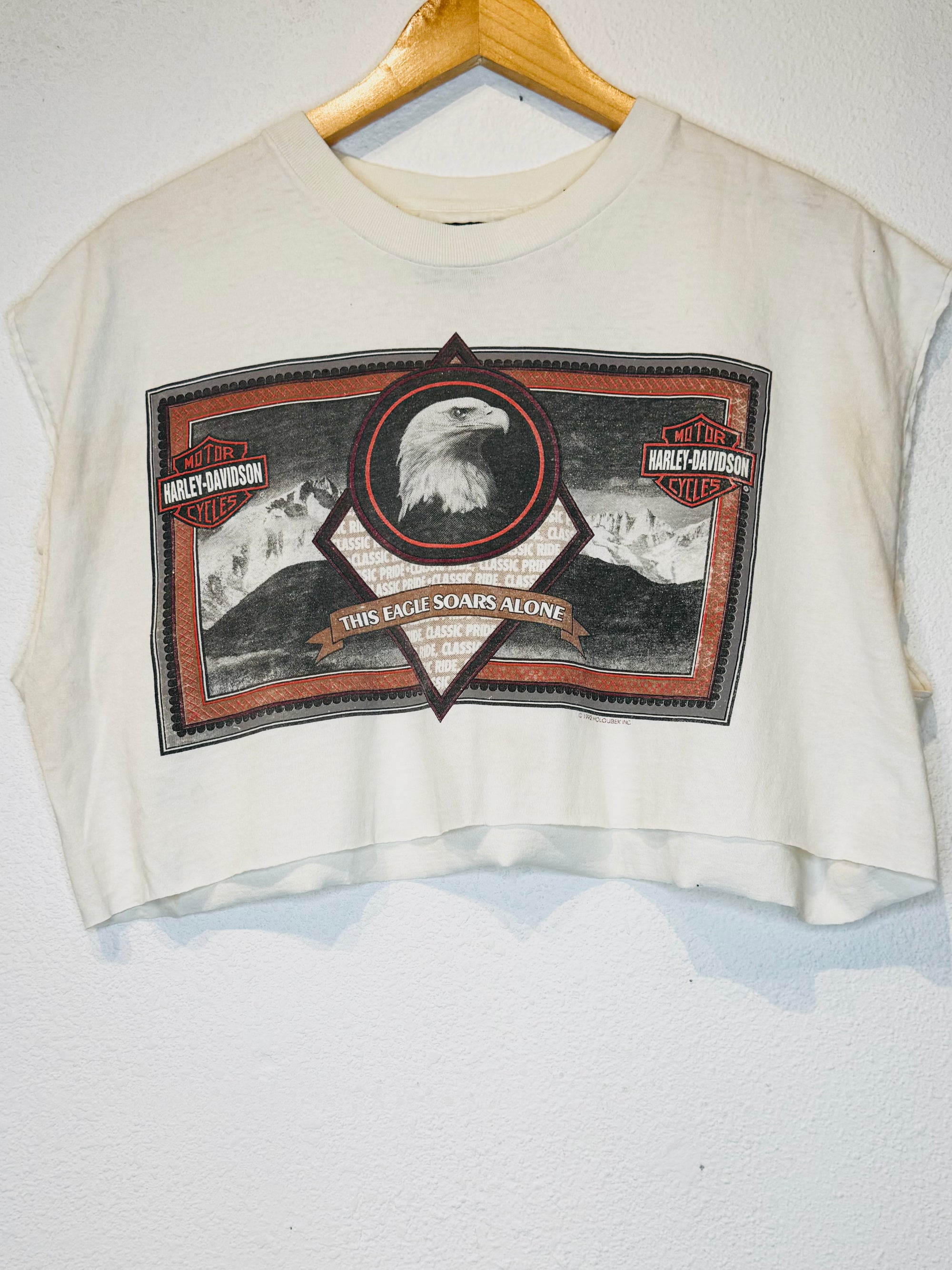Los Angeles Harley Vintage Crop Tank