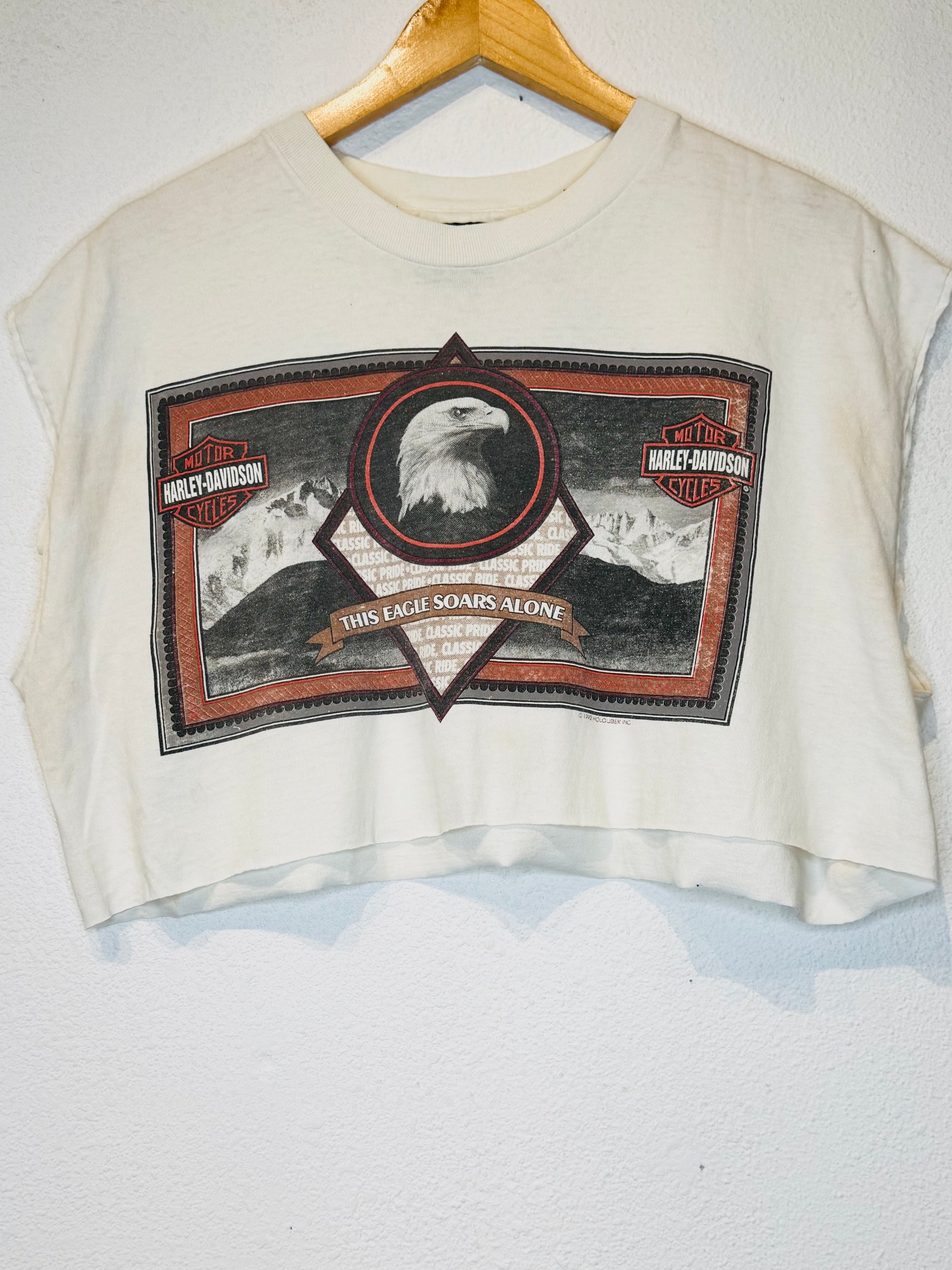 Los Angeles Harley Vintage Crop Tank