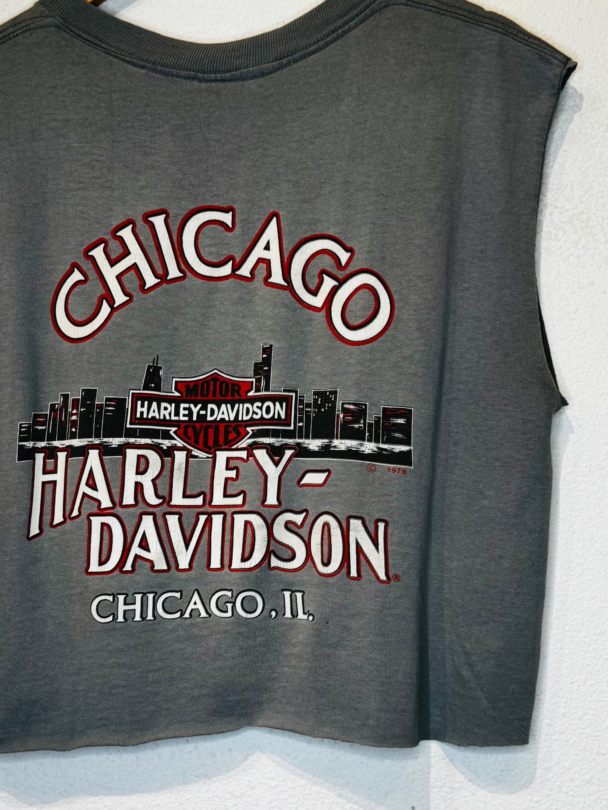 3D Emblem Wolf Harley Vintage Crop Tank