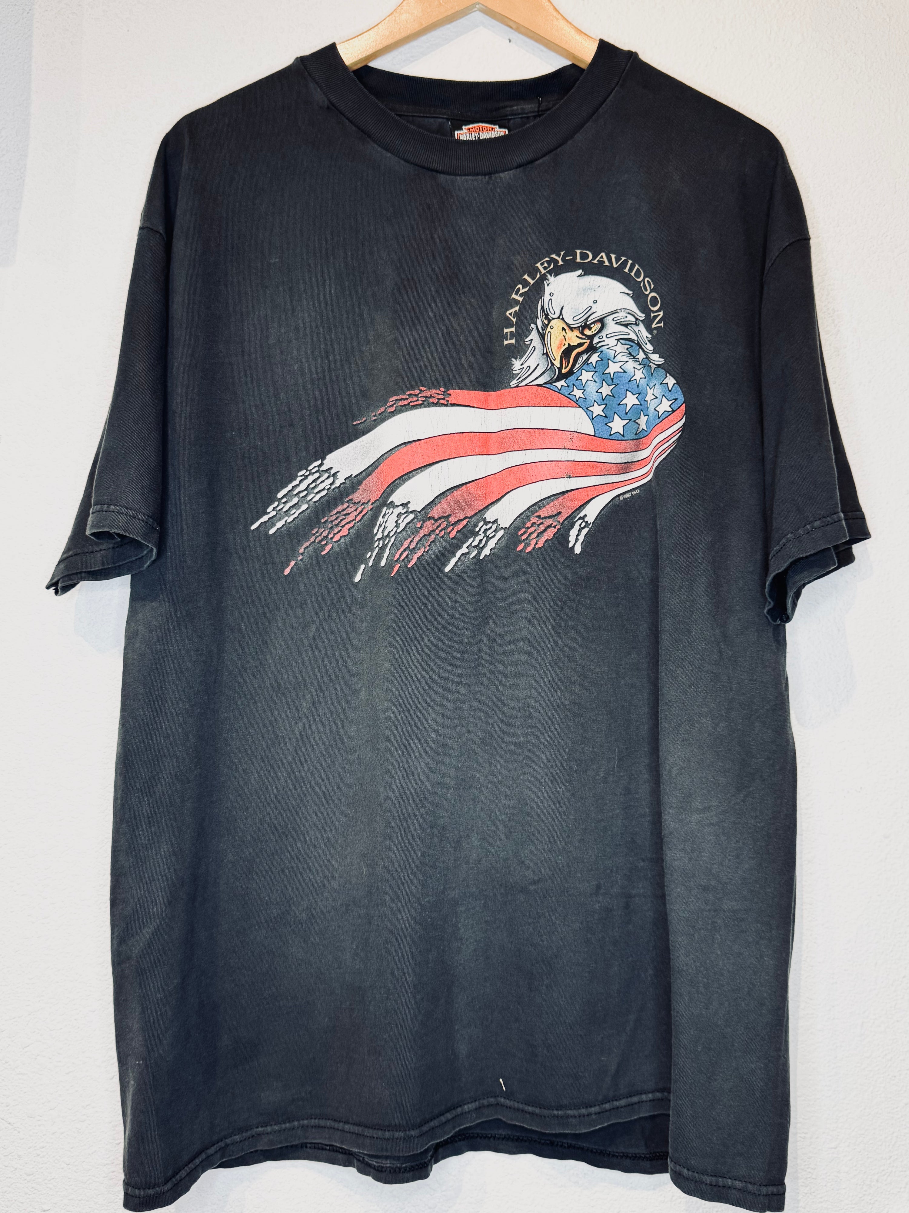 Appleton Harley Vintage Tee