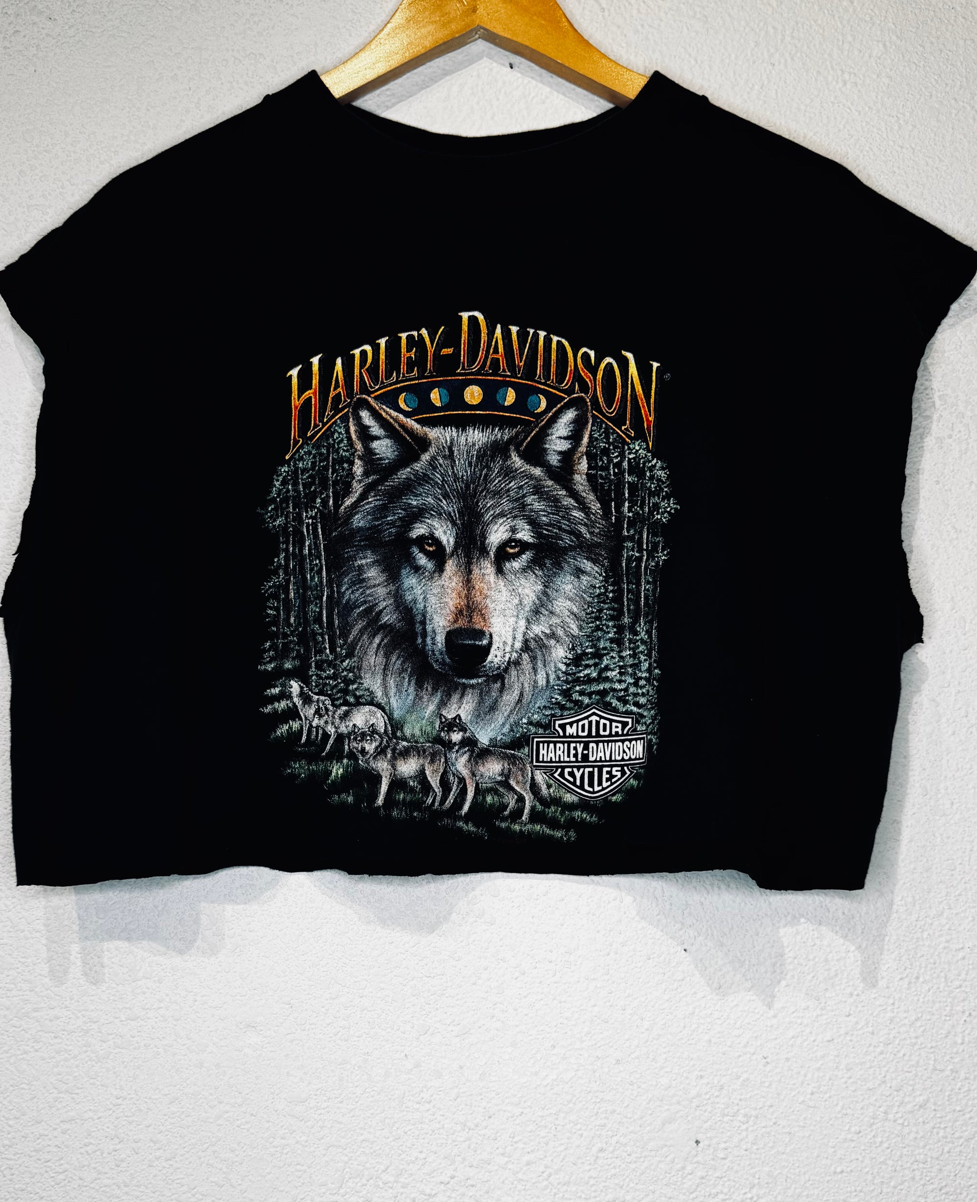 Fischers Harley Vintage Crop Tee