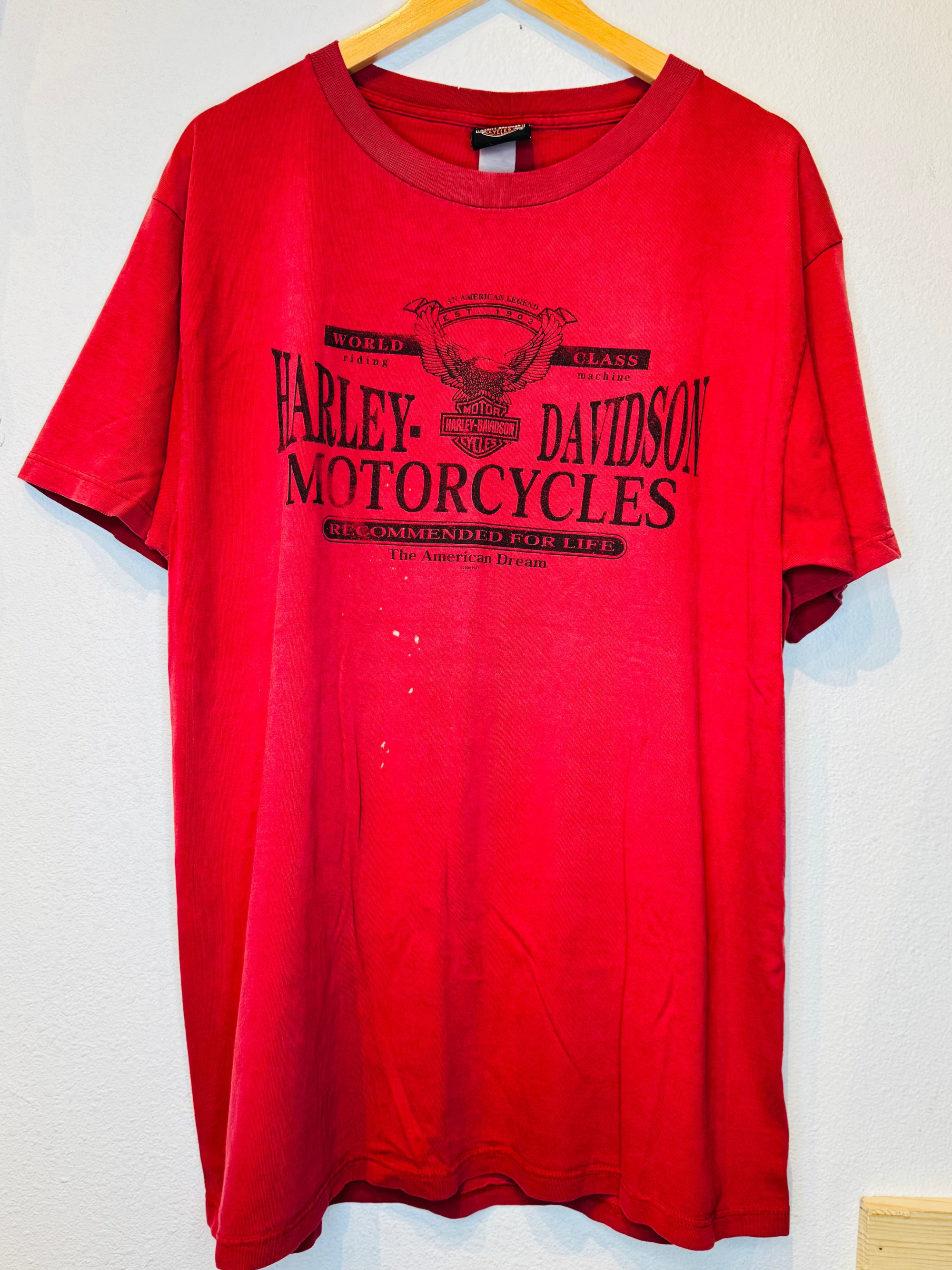 Black River Harley Vintage Tee
