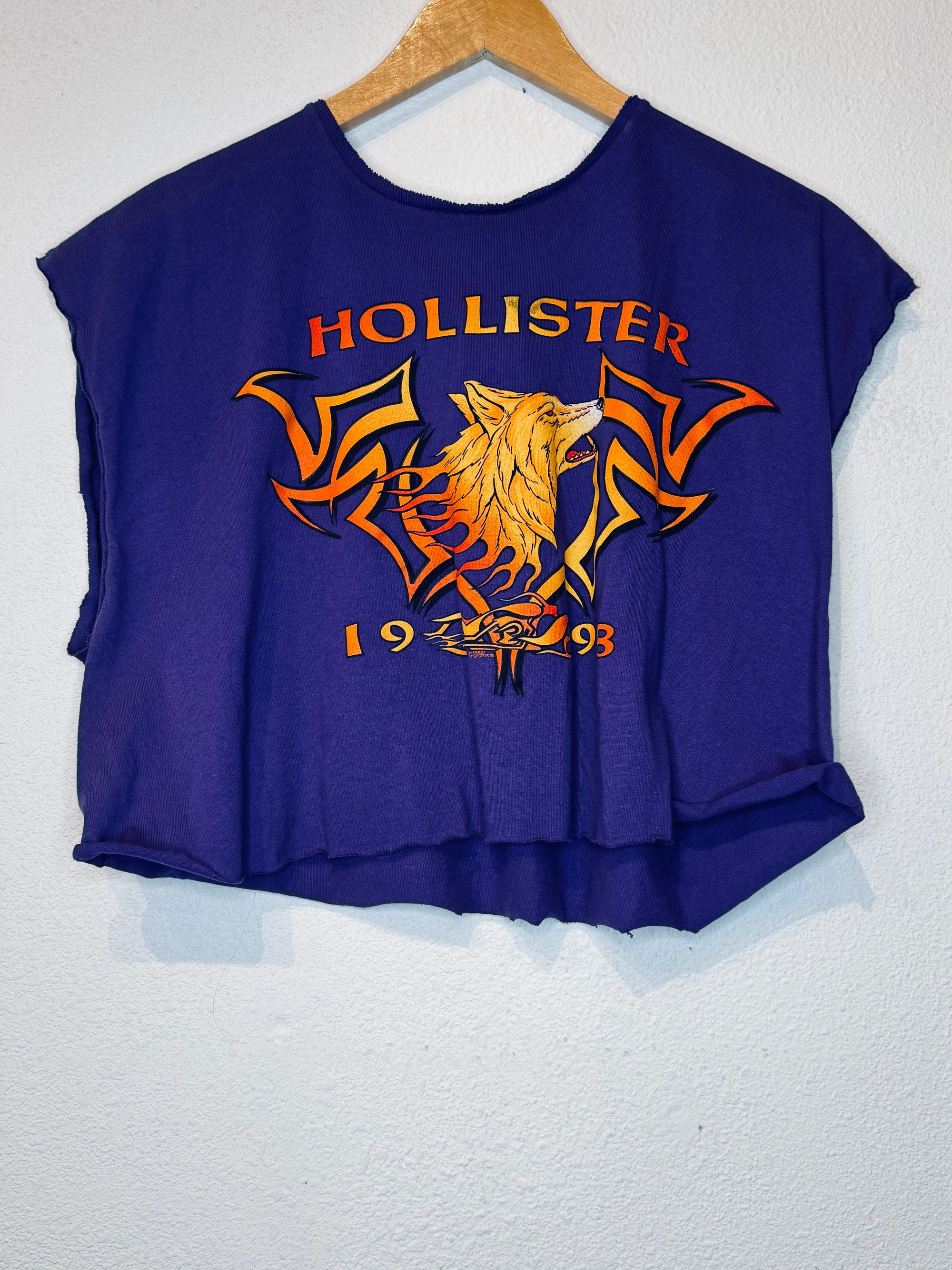 Hollister '98 Purple Vintage Crop Tank