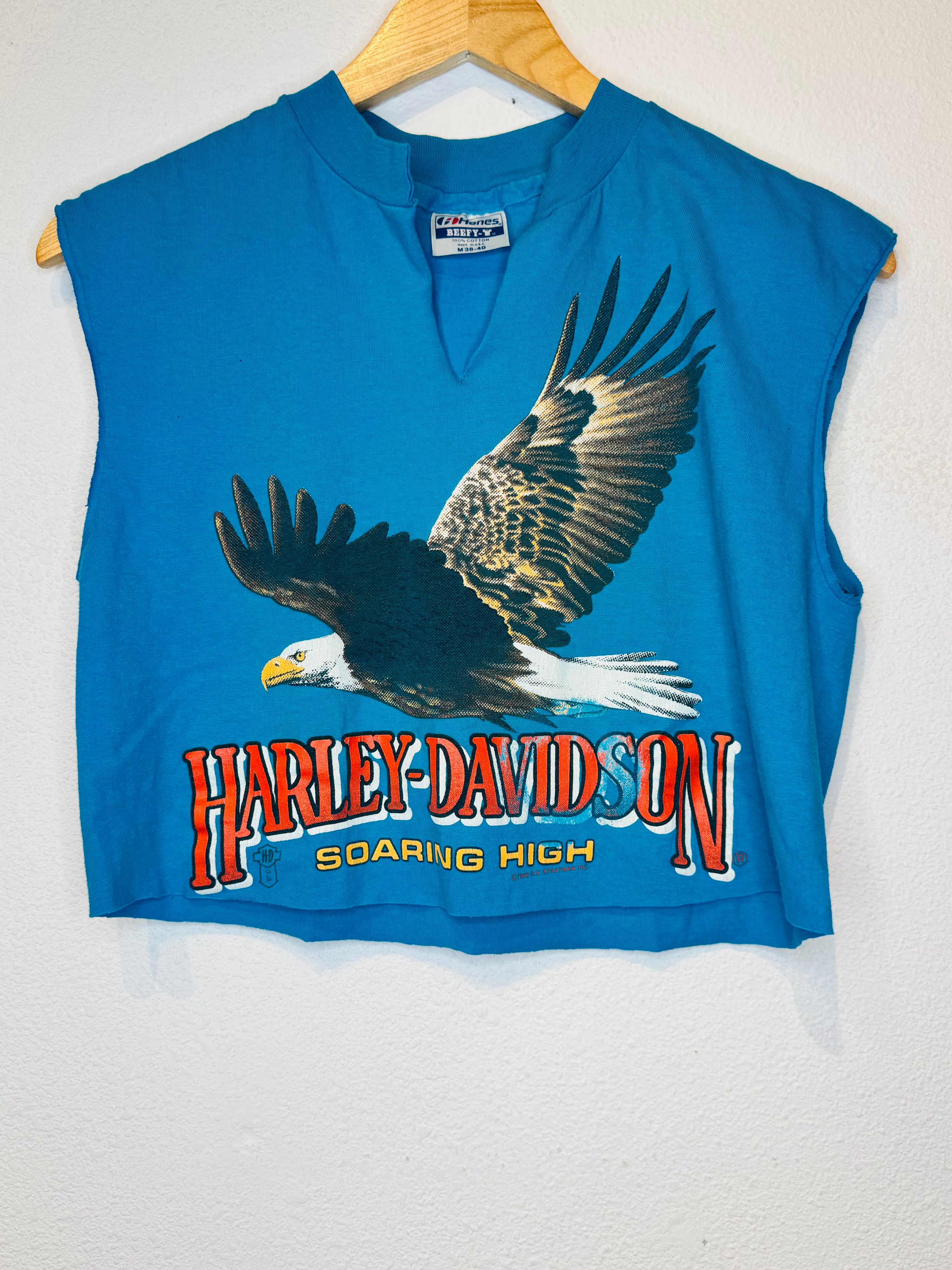 Soaring High Harley Vintage Crop Tank