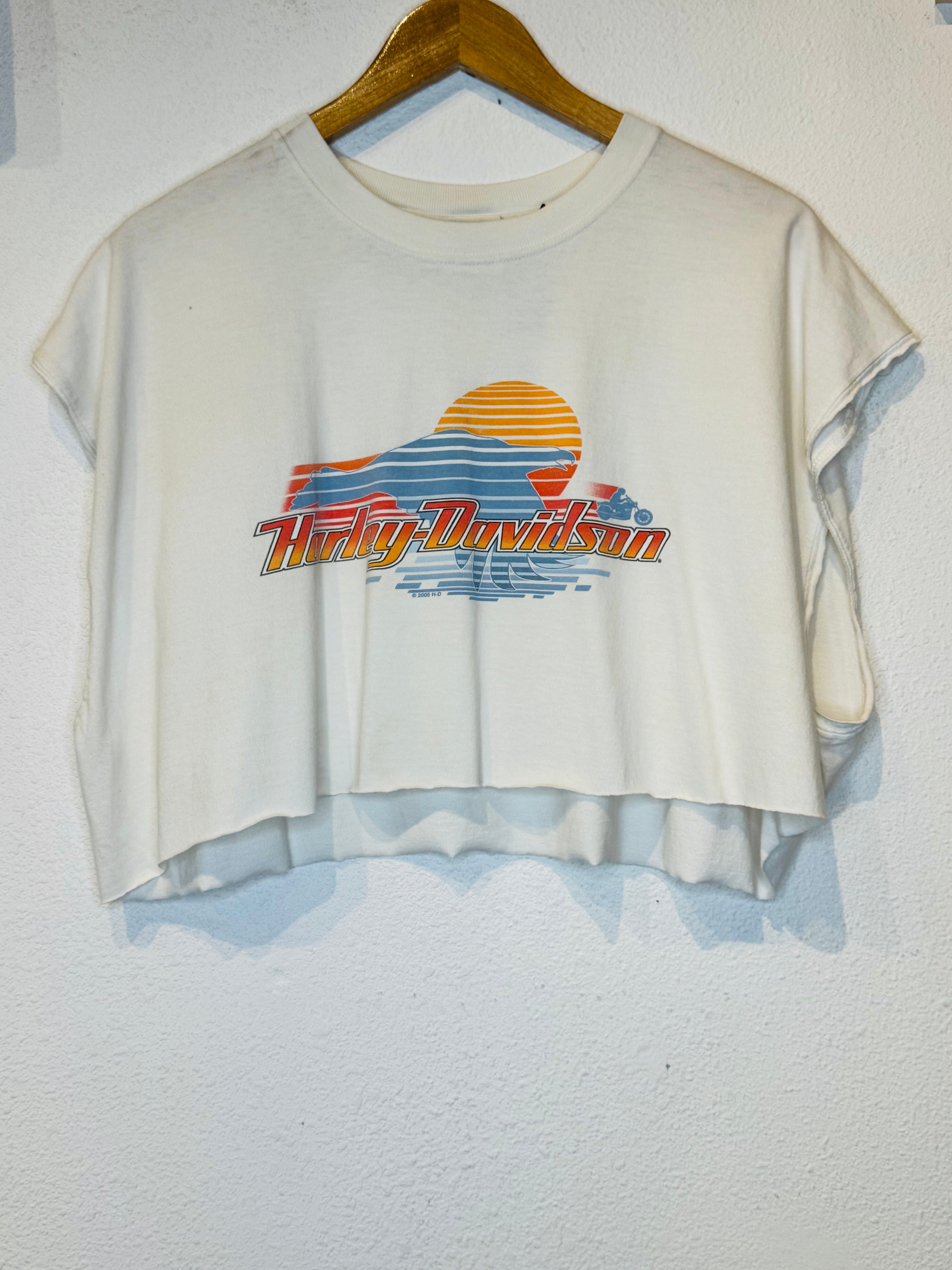 Riverside Harley Vintage Crop Tank