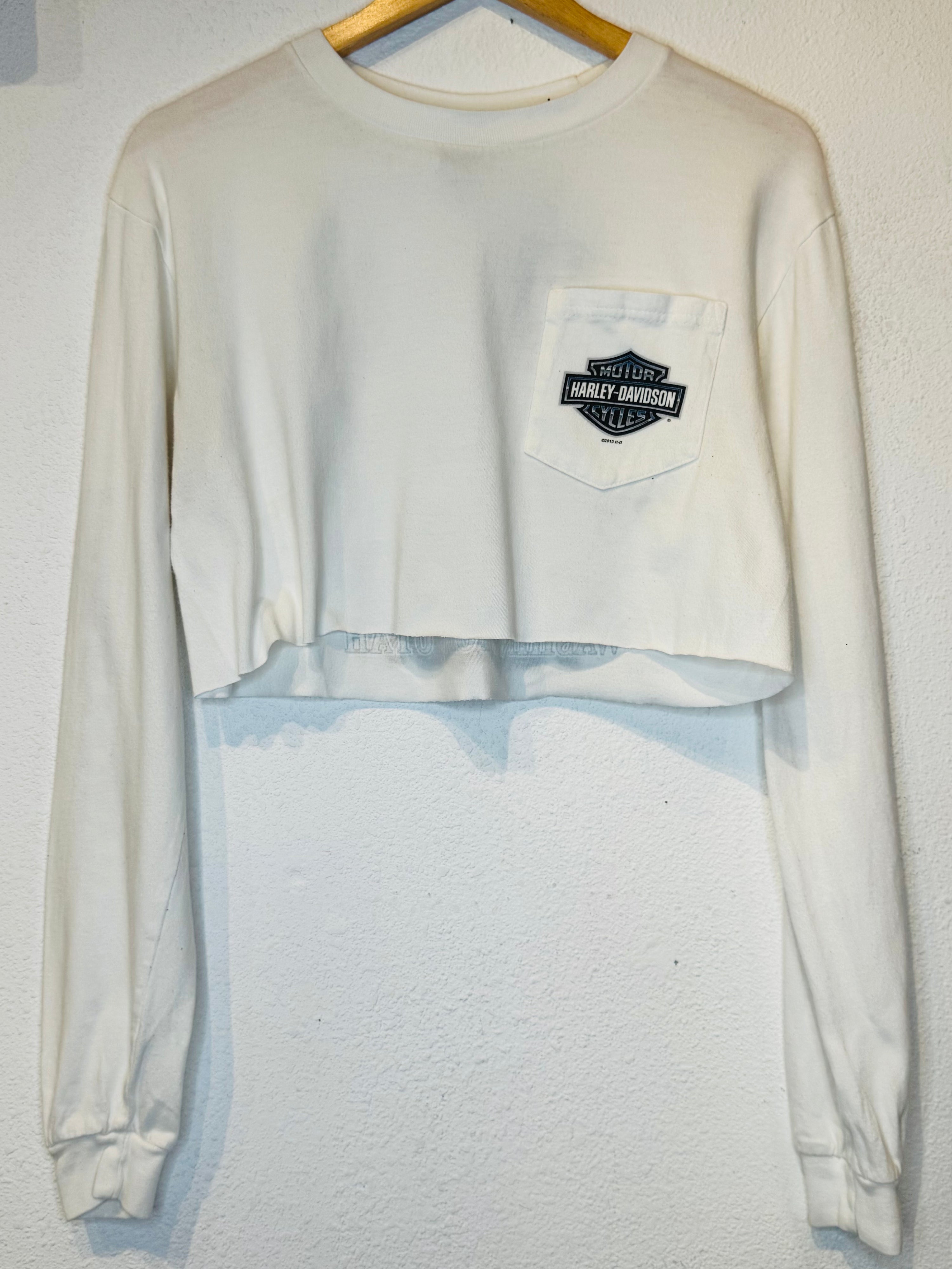 Zion Harley Vintage Crop Long Sleeve