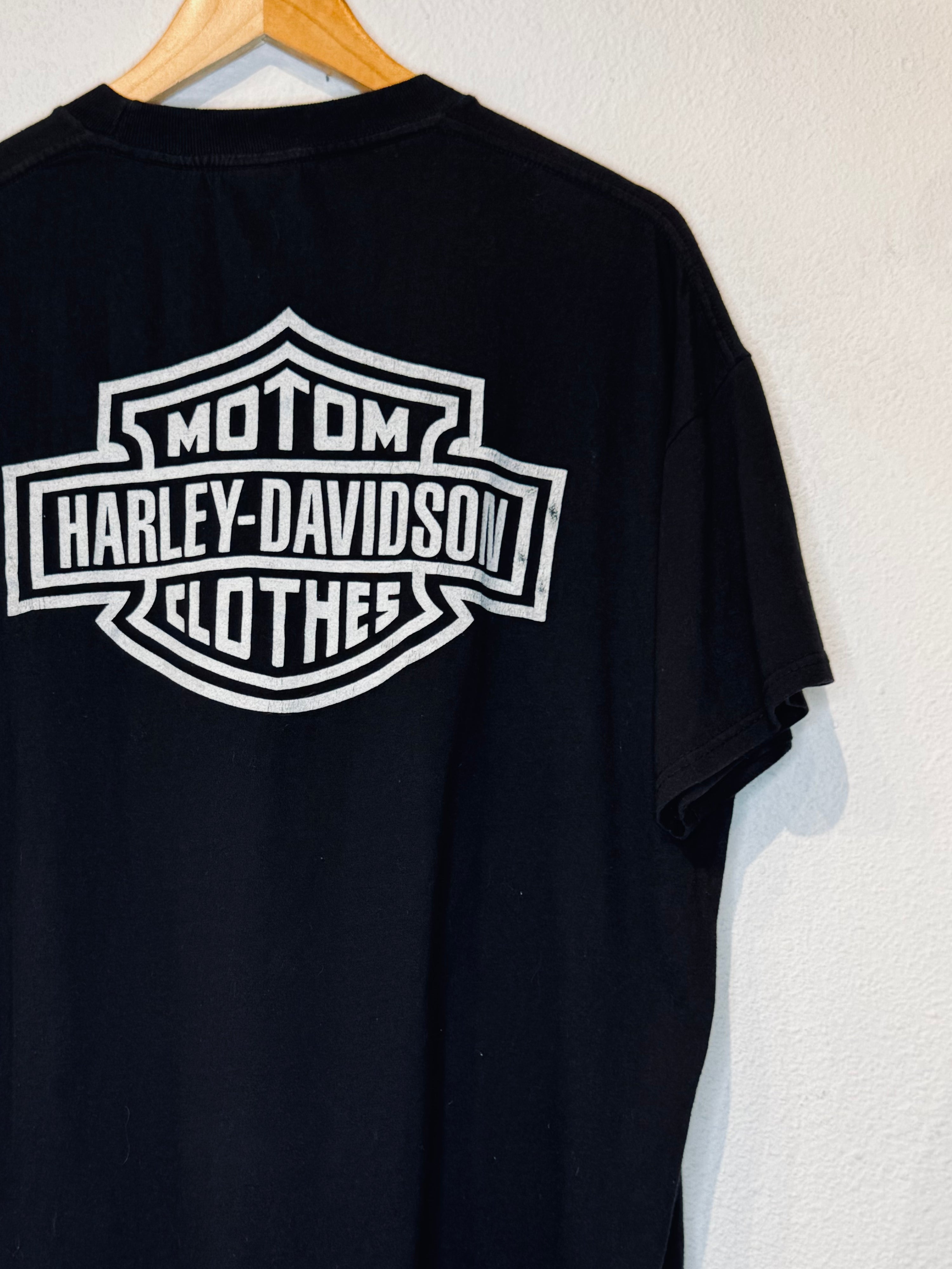 3D Emblem '89 Snake Harley Vintage Tee