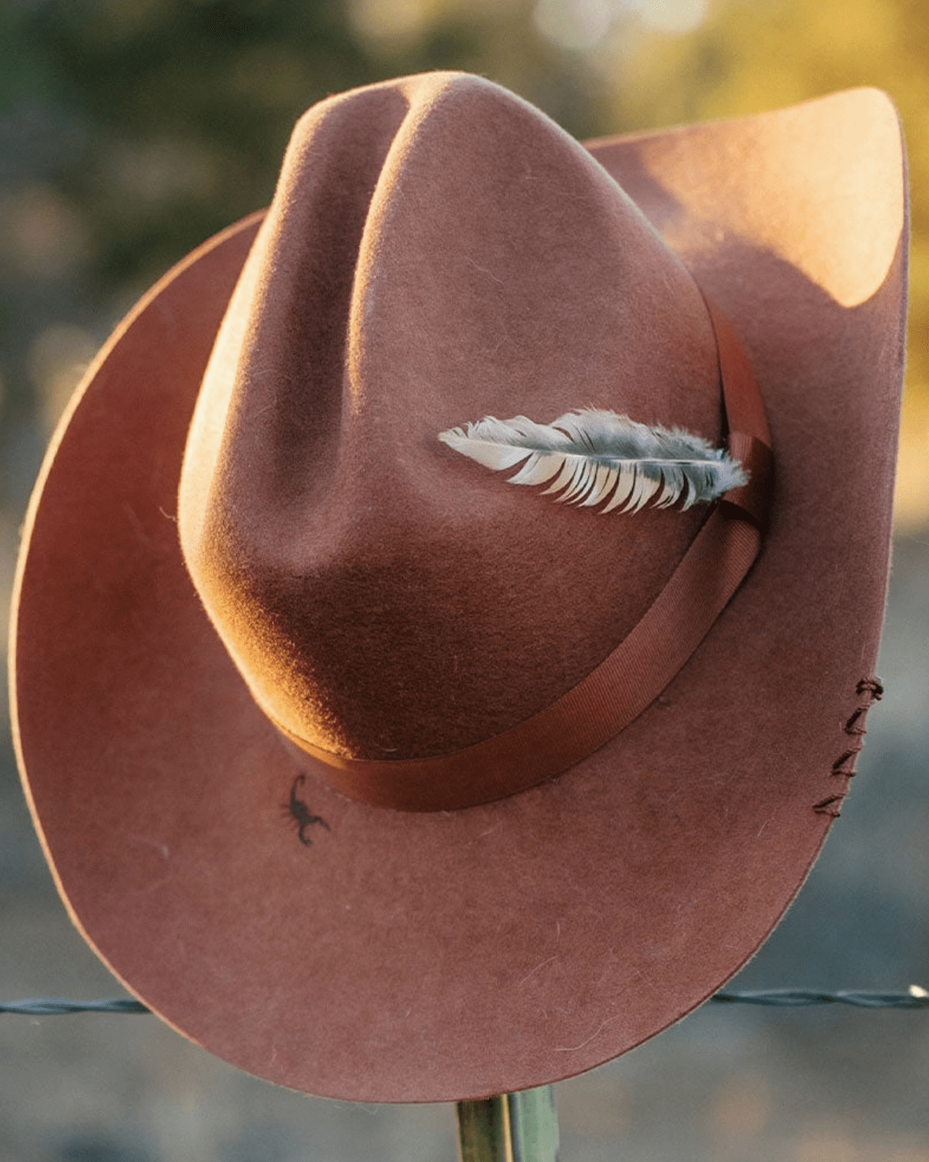 The Scorpion Cowboy Hat - Burnout