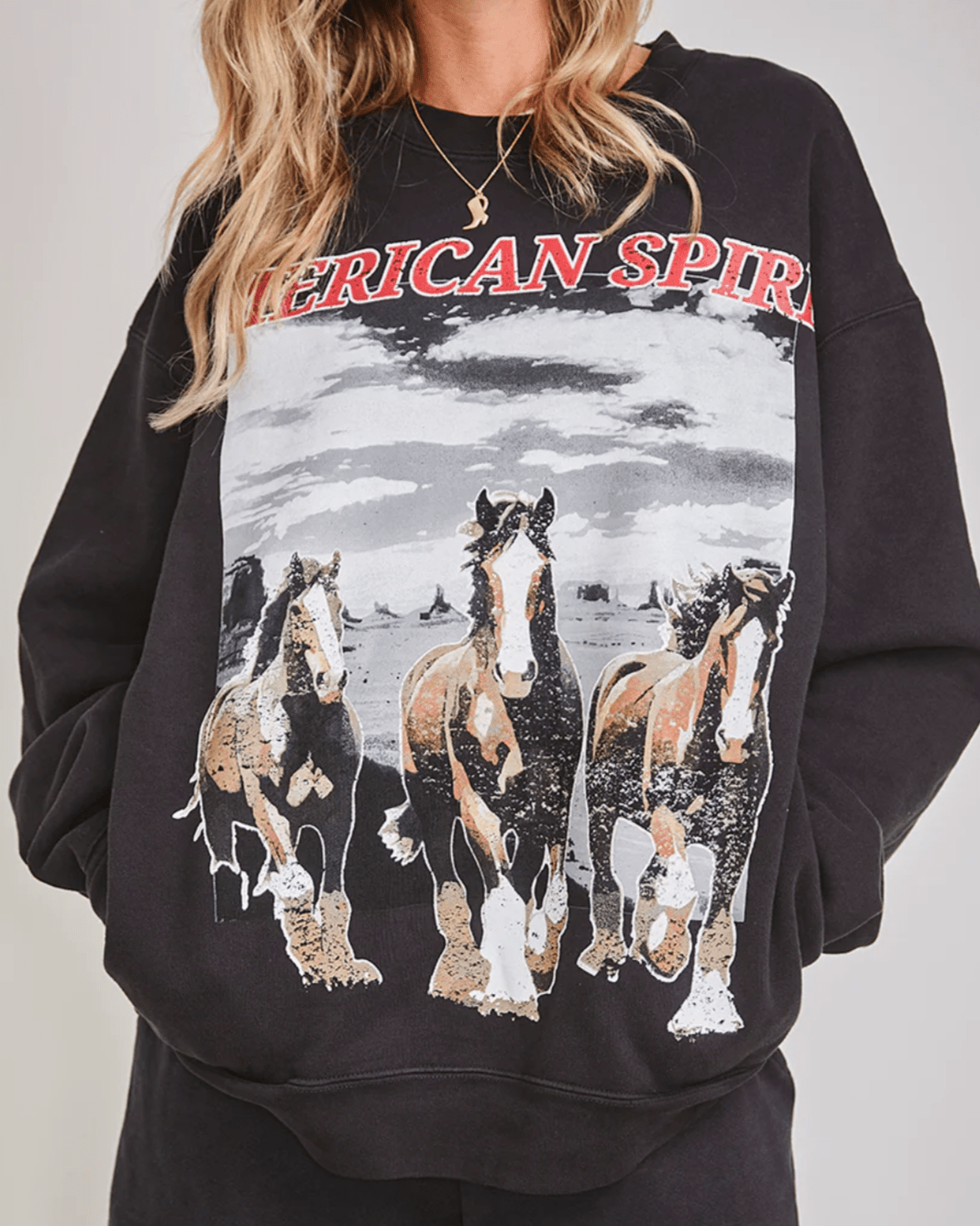 American Spirit Crewneck - Burnout