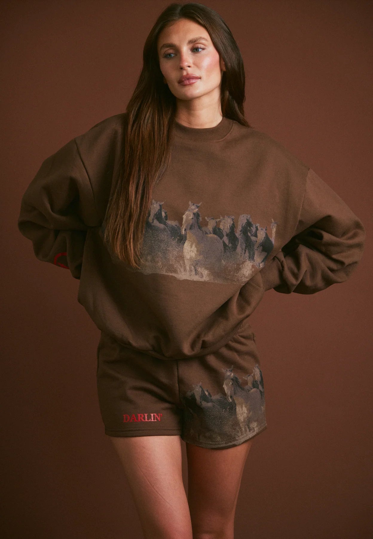 Wild Horse Crewneck - Tobacco