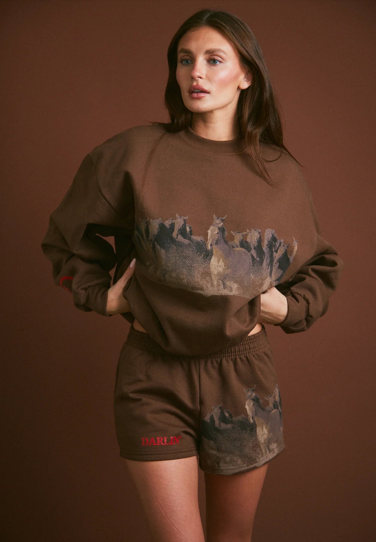 Wild Horse Crewneck - Tobacco