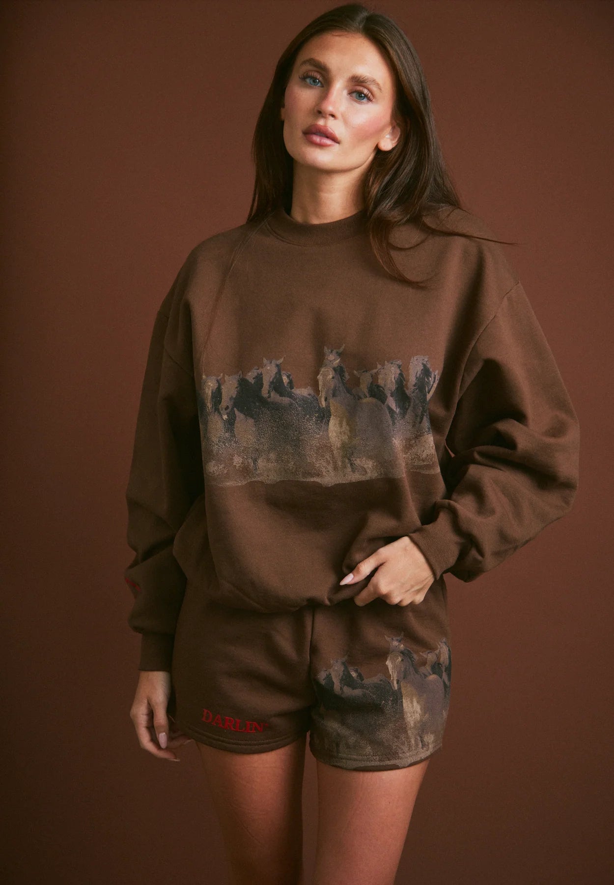 Wild Horse Crewneck - Tobacco