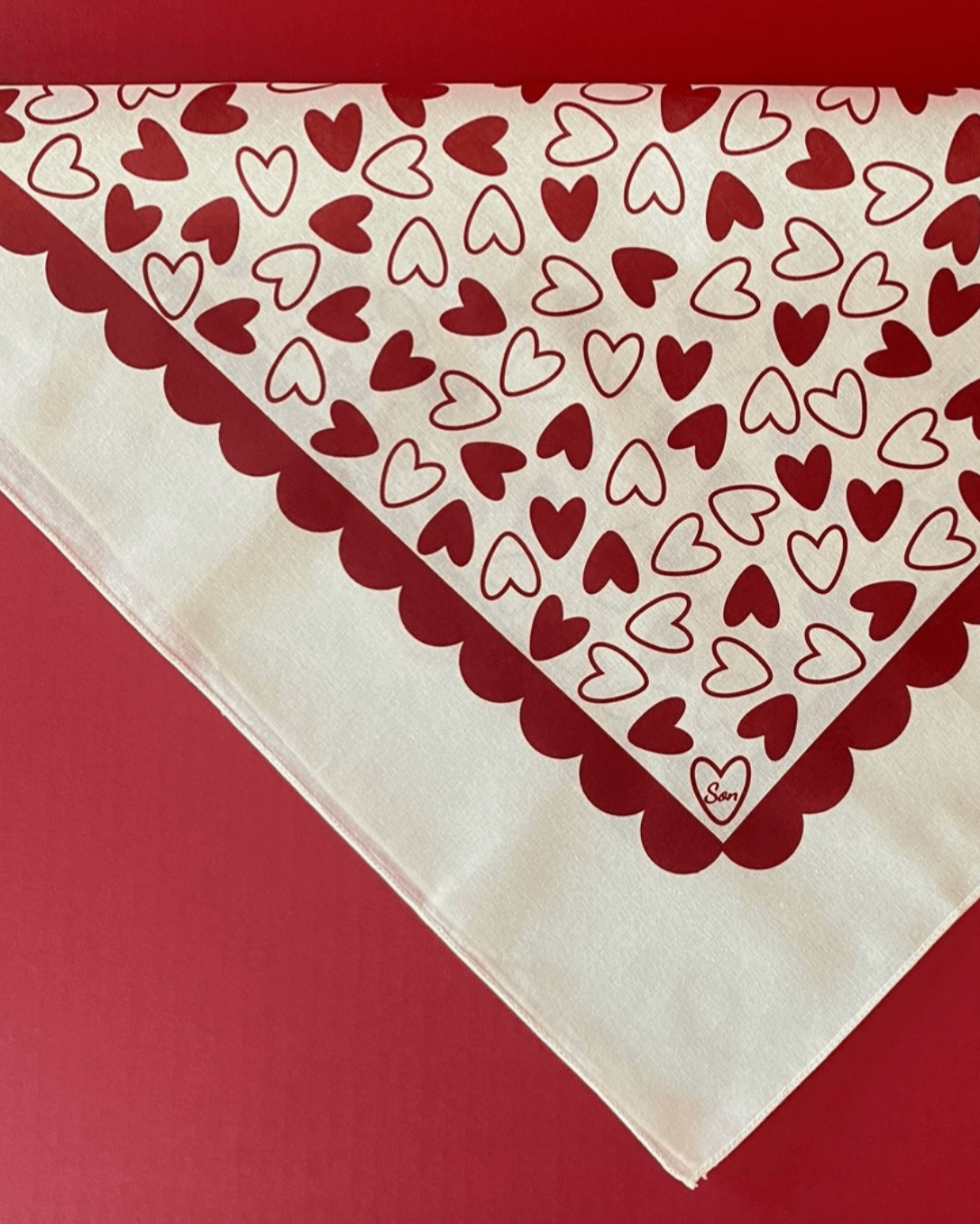 Son Bandana - Burnout